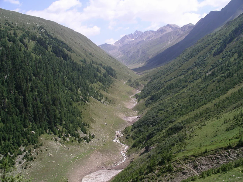 A wide valley, Rappental, in the Swiss Alps with green mountain slopes, a coniferous forest on the left, and a small winding stream running through the valley floor toward distant peaks.