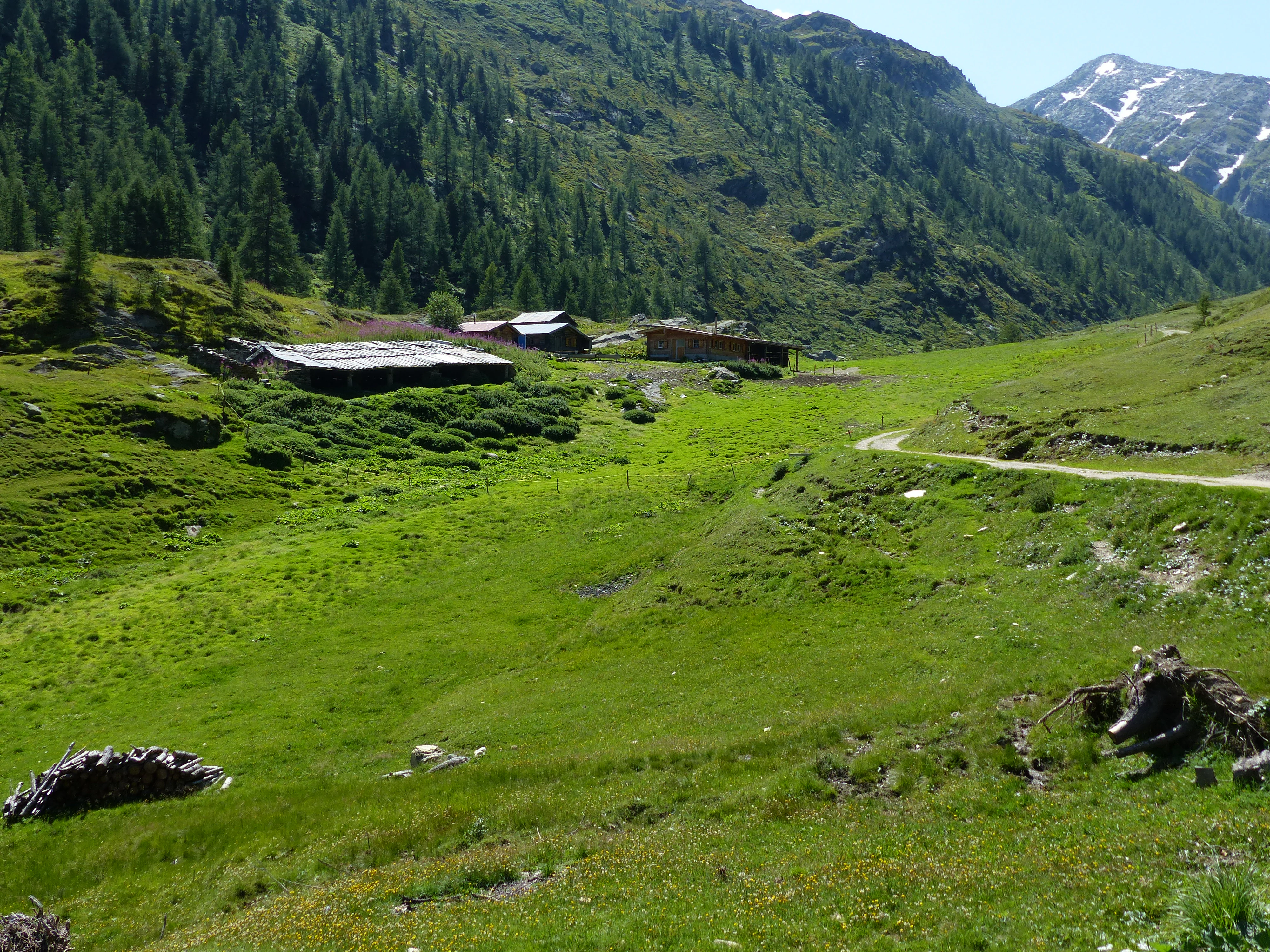 A wide, green mountain valley with alpine meadows and small wooden farm buildings nestled at the base of steep, forested slopes under a clear sky.