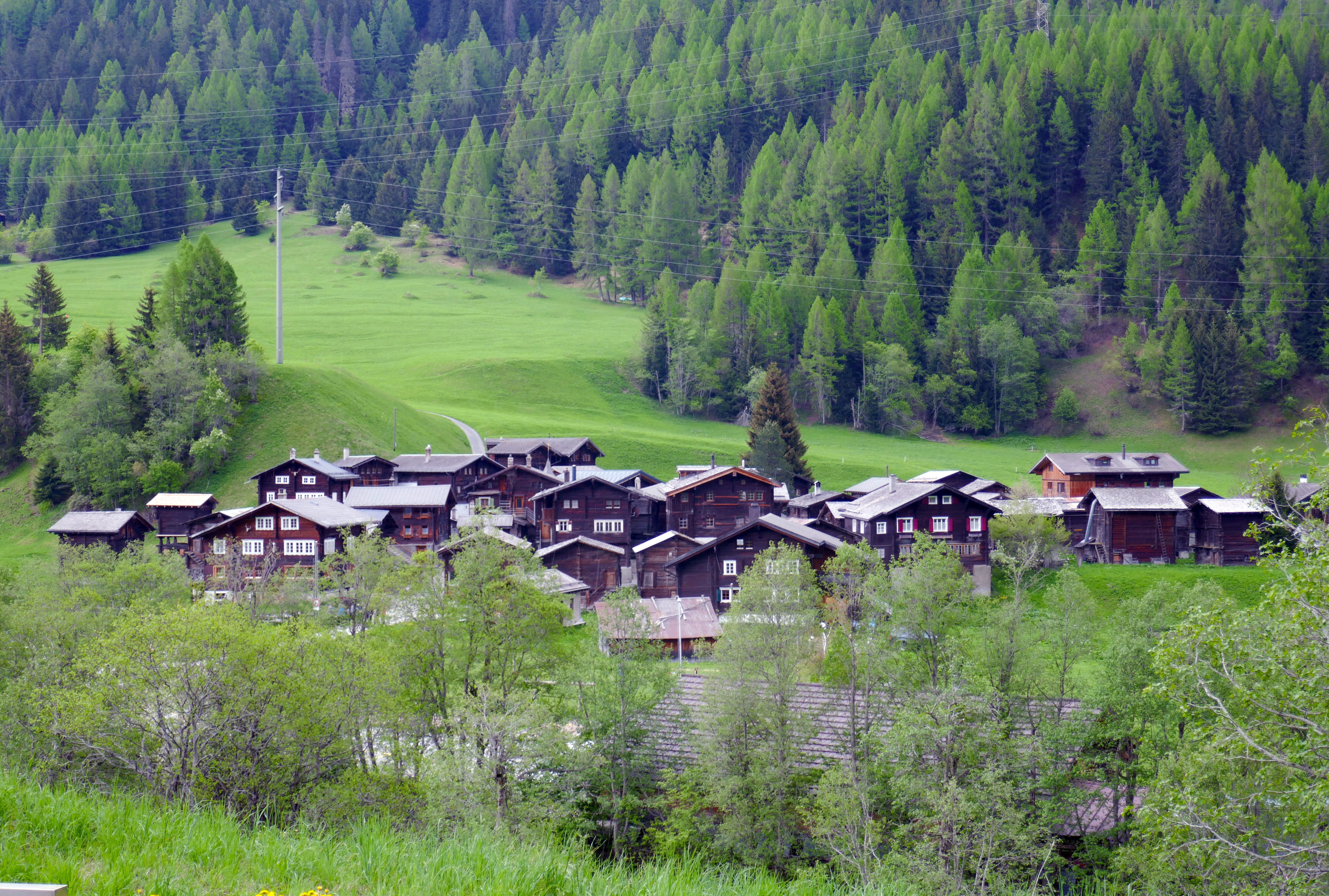 A cluster of dark wooden chalets nestled in a lush green valley with a dense evergreen forest on the hillside background.