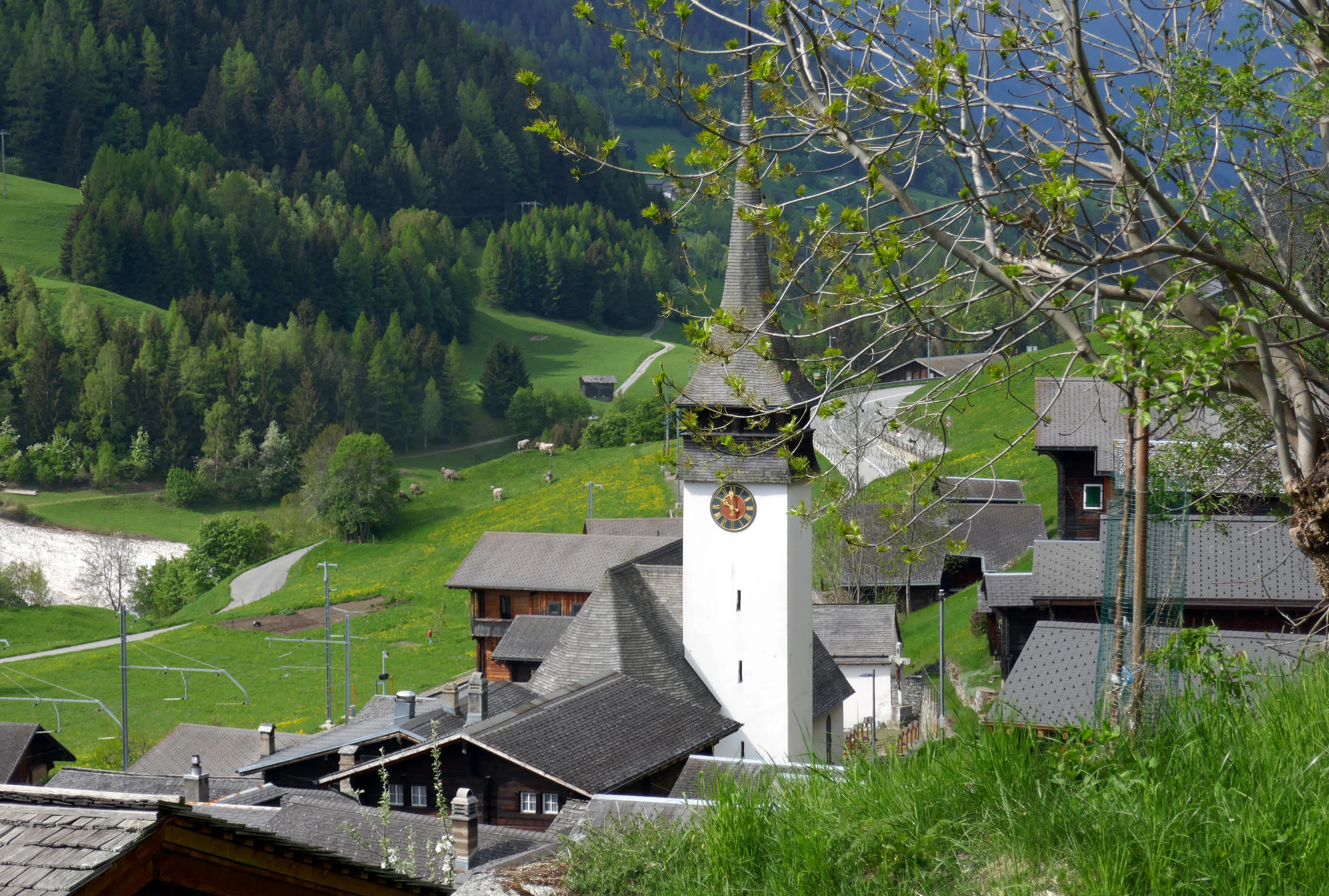 A view of the village of Niederwald with a prominent church tower in the foreground, set against green mountain slopes and forest in the Swiss Alps.