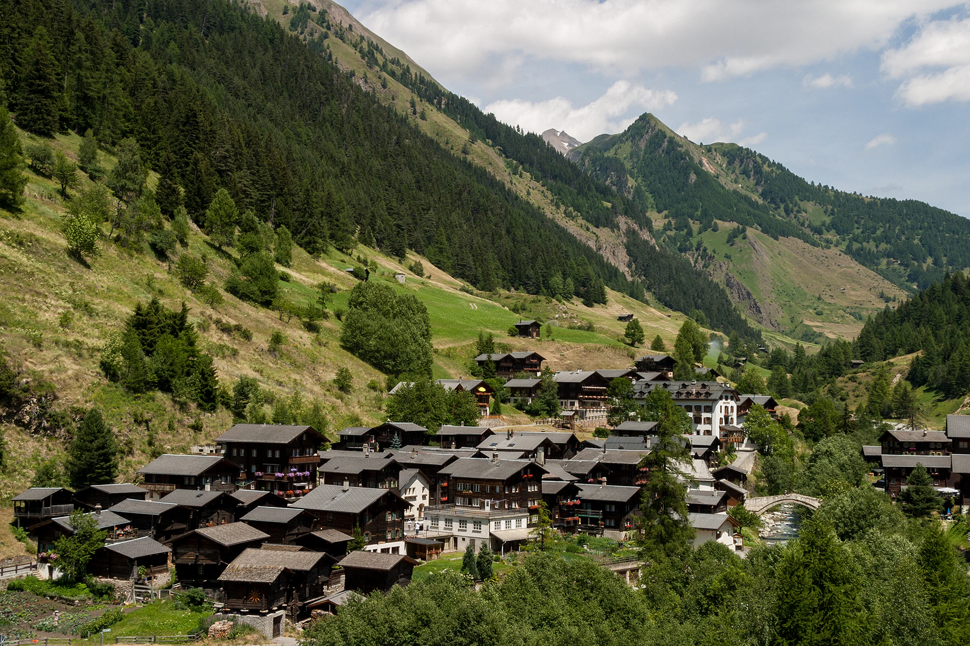 A wide angle shot of the small village of Binn with traditional dark wooden mountain houses surrounded by steep, forested green slopes under a partly cloudy sky.