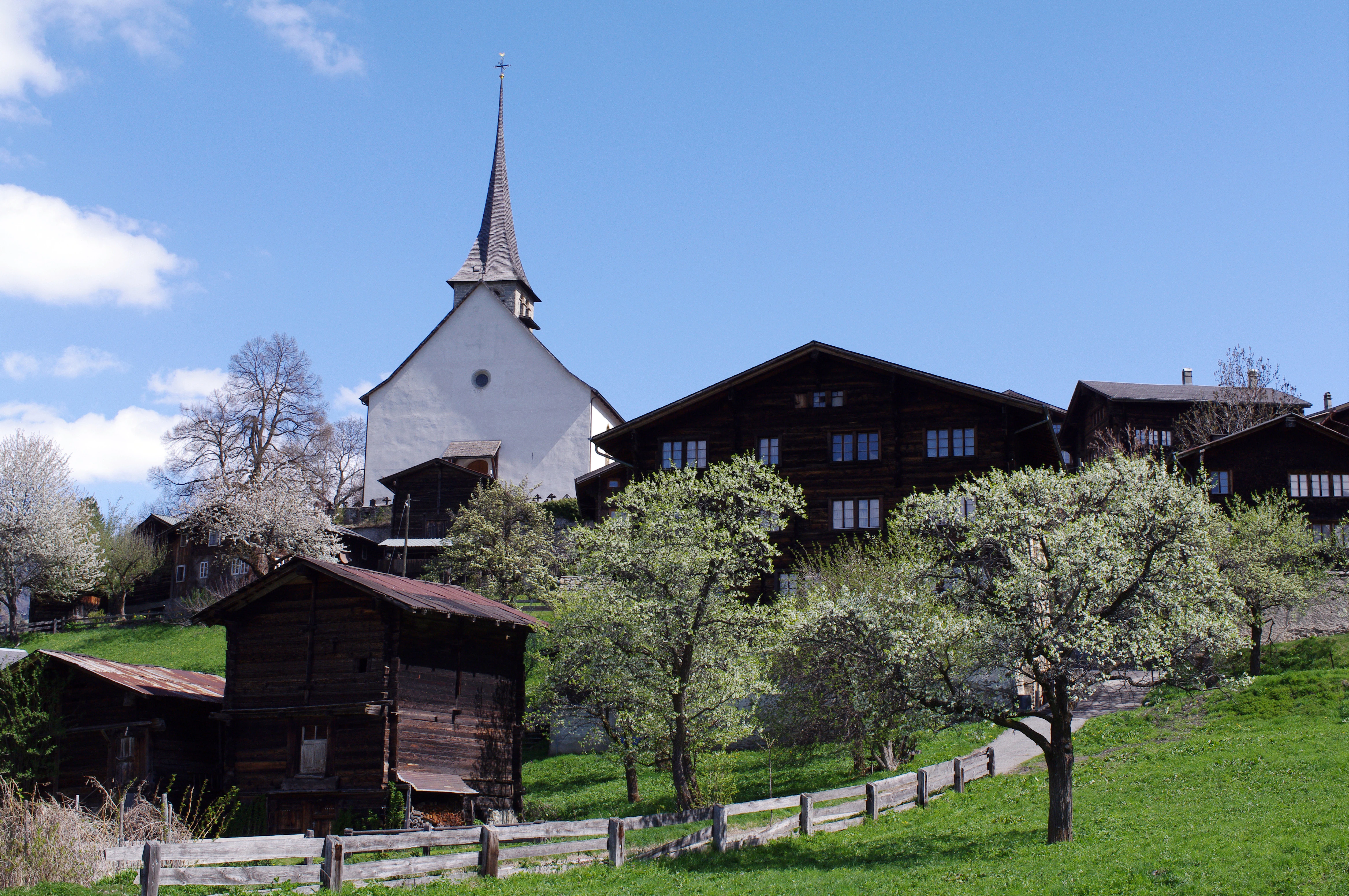 Traditional wooden alpine houses and a white church with a tall steeple in the village of Ernen, surrounded by blooming trees and green slopes under a clear blue sky.