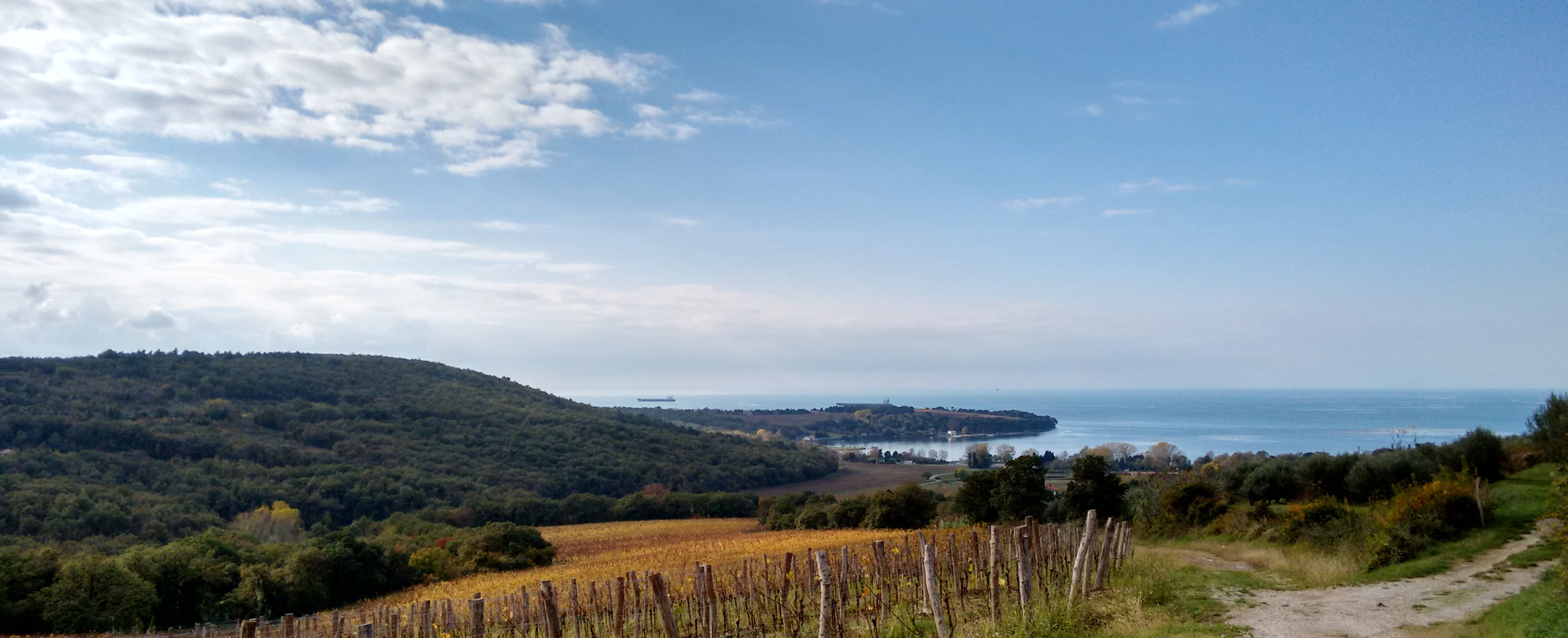 A wide landscape view featuring a vineyard in the foreground, rolling forested hills, and the distant coastline meeting the sea under a partly cloudy sky.