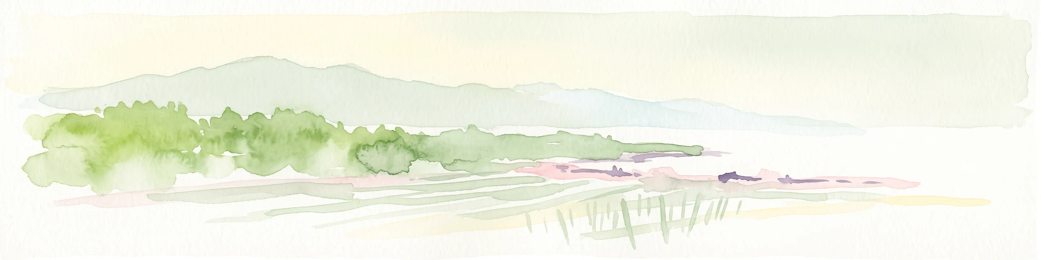 A soft watercolor painting of a coastal scene featuring green vegetation, a light shoreline, and hazy distant mountains.