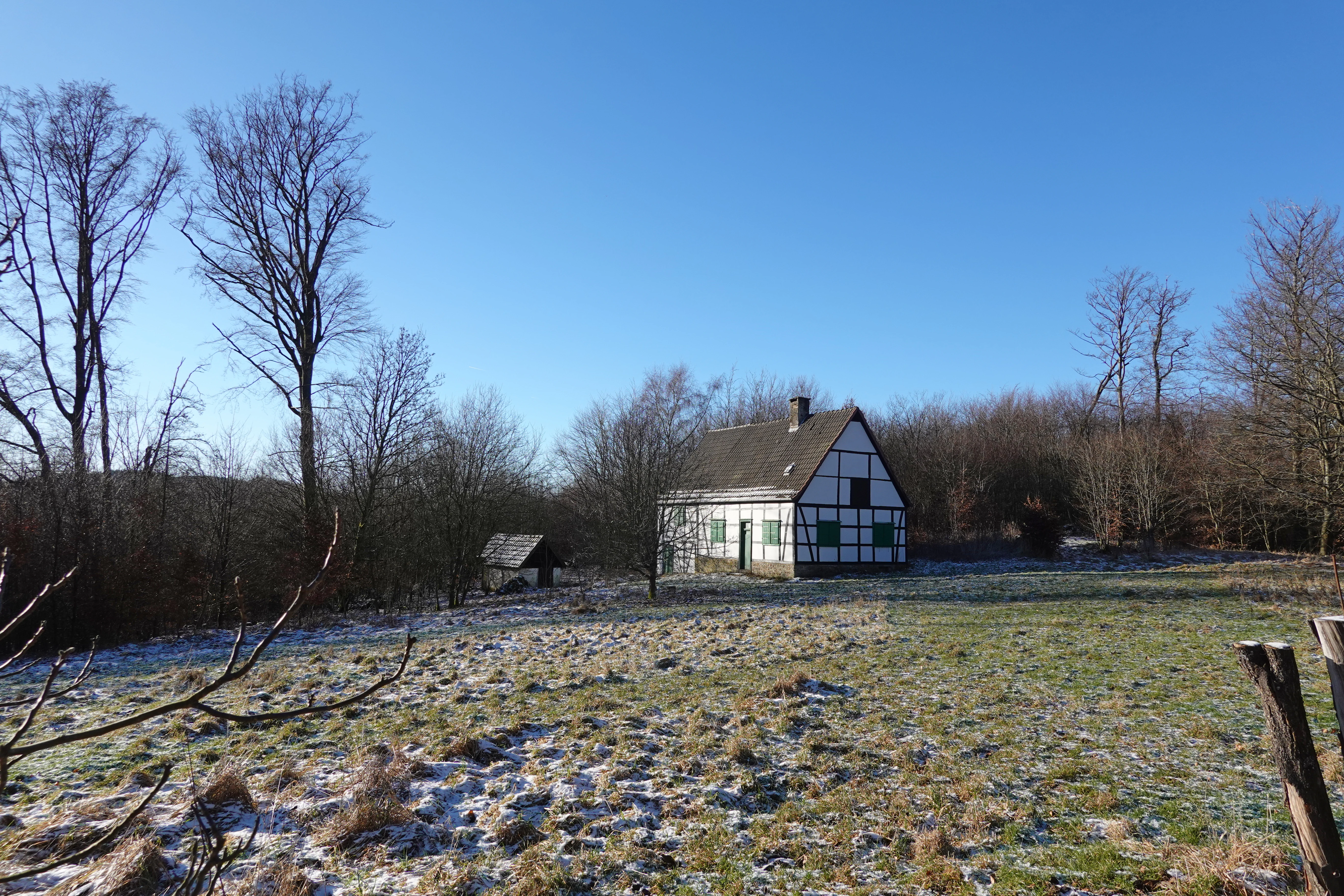 A traditional white and dark brown half-timbered house sits in a grassy clearing surrounded by bare forest trees under a clear blue sky on a cold day.