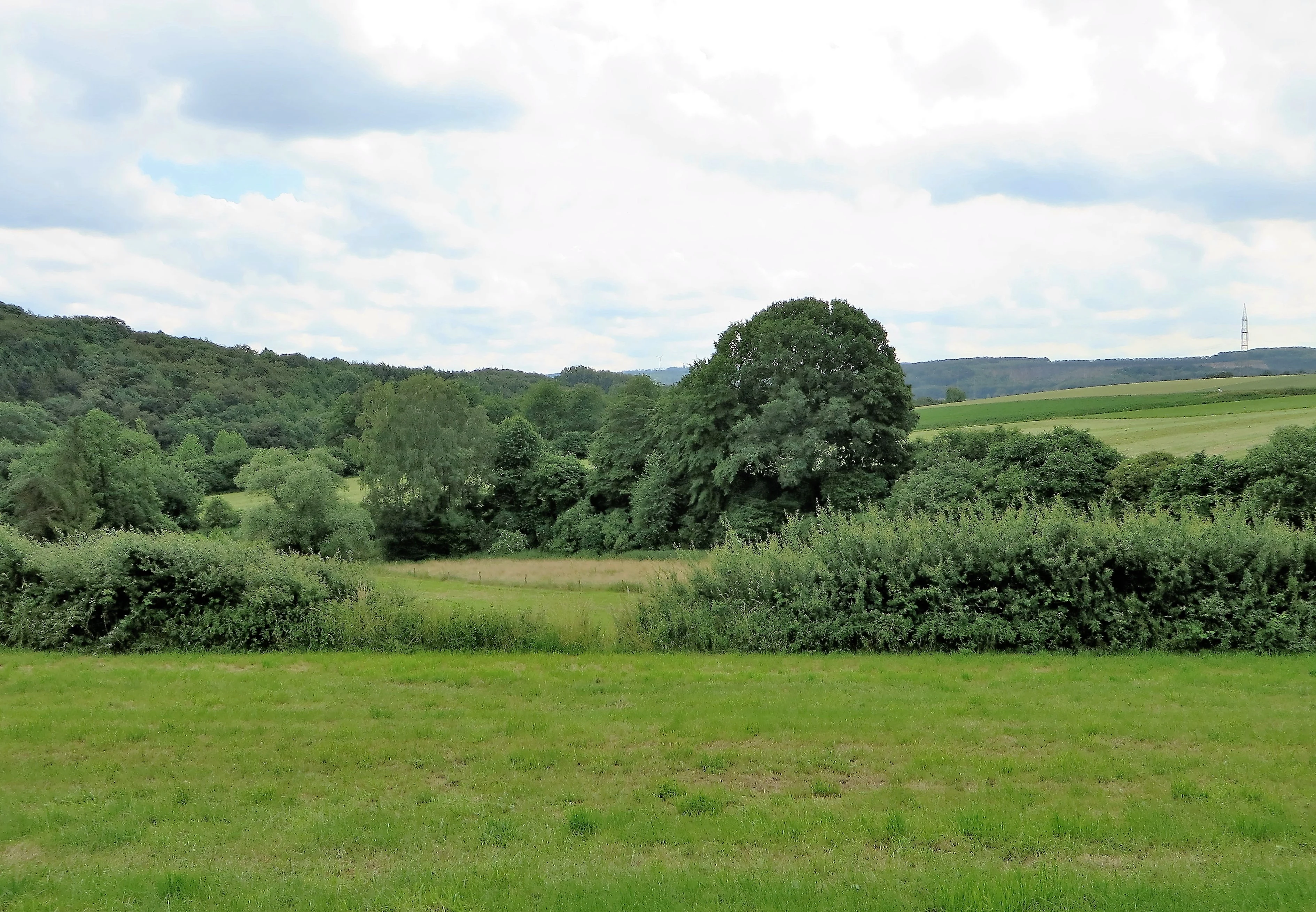 A green, grassy field in the foreground leading toward a dense row of trees and hills under a cloudy sky.