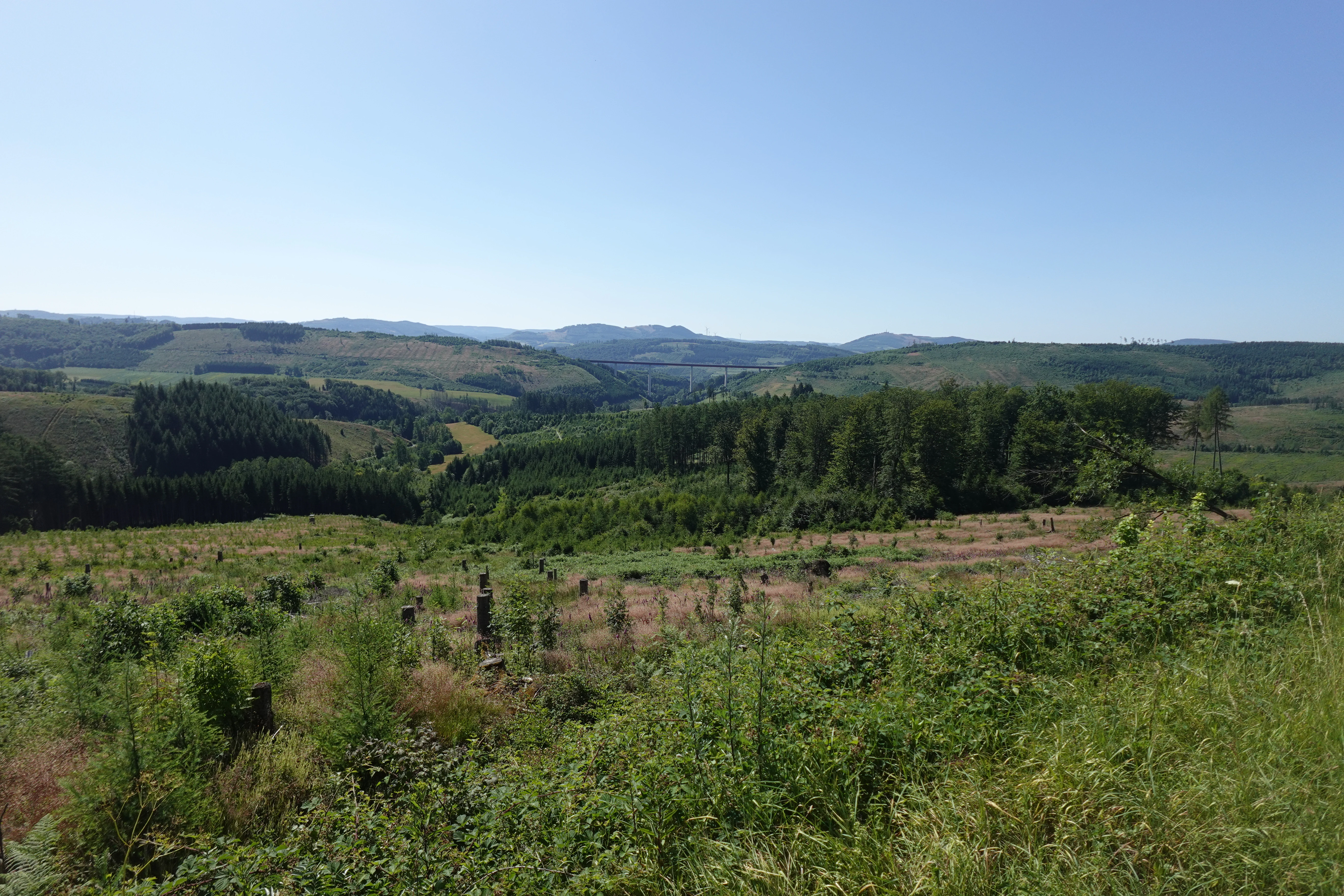 A sunny, wide-angle landscape view looking over rolling green hills covered in forests and open fields under a clear blue sky.