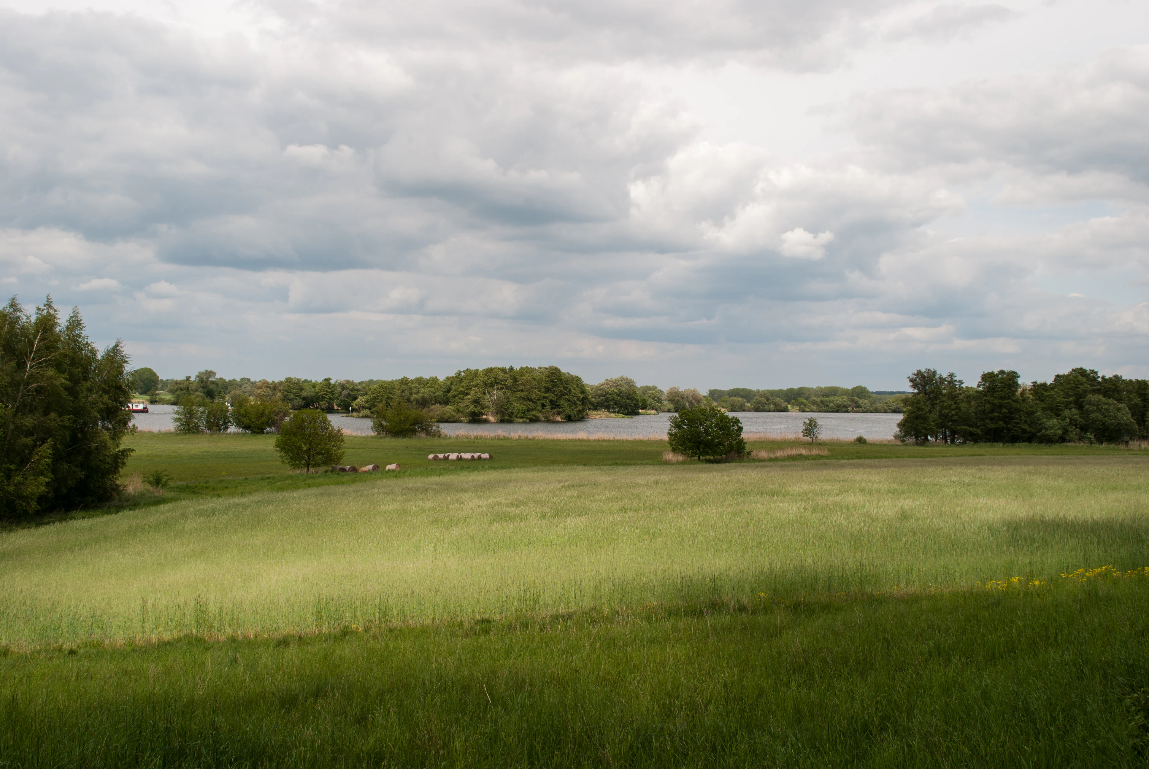 A wide view of a green meadow in the foreground leading to the Havel river surrounded by trees under a cloudy sky.