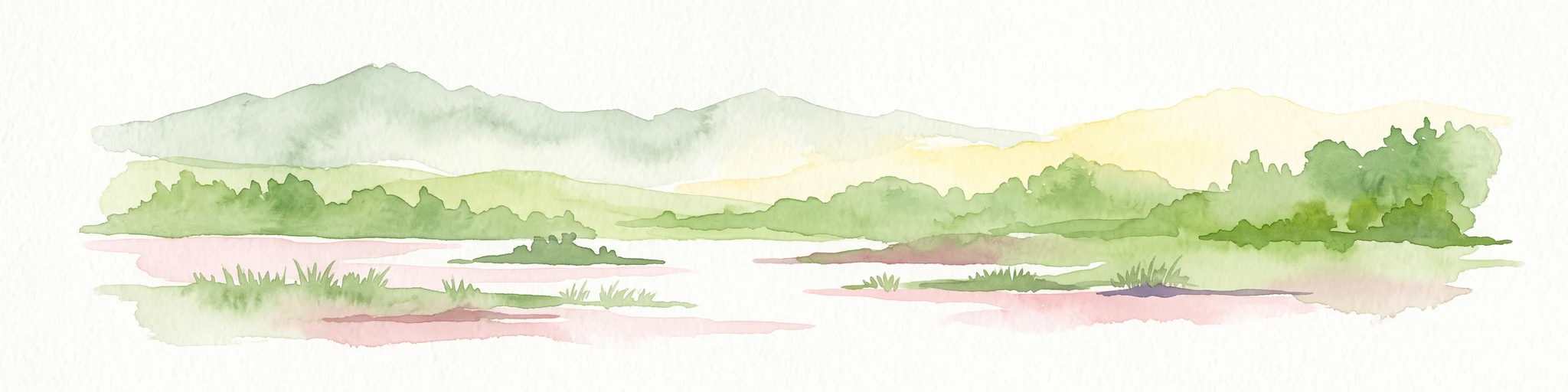Watercolor painting of a lush, flat landscape with low green hills in the distance and wetland vegetation in the foreground.