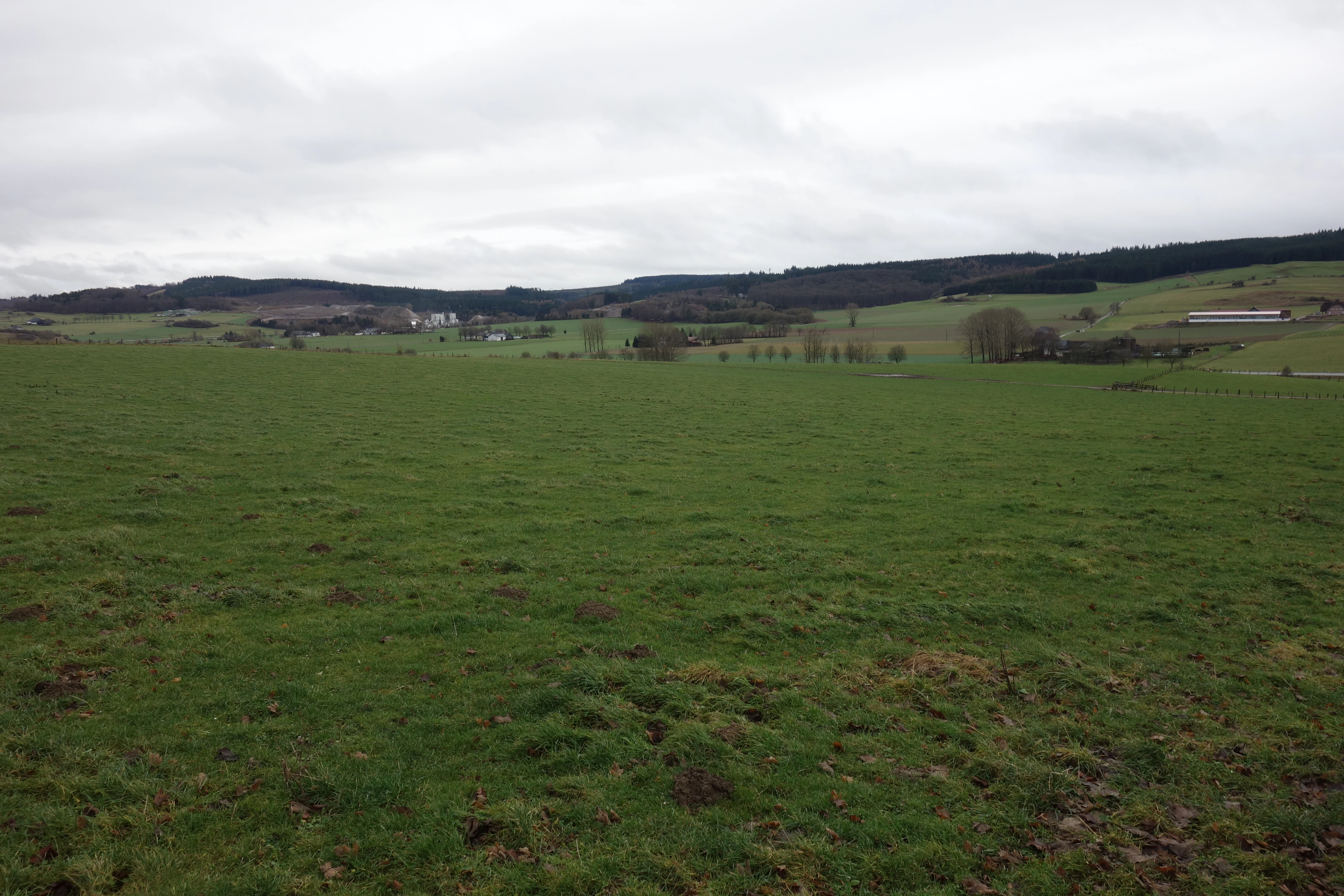 A wide, expansive view of green meadows in the foreground, rolling hills with sparse trees in the midground, and a forested ridge in the background under a cloudy sky.