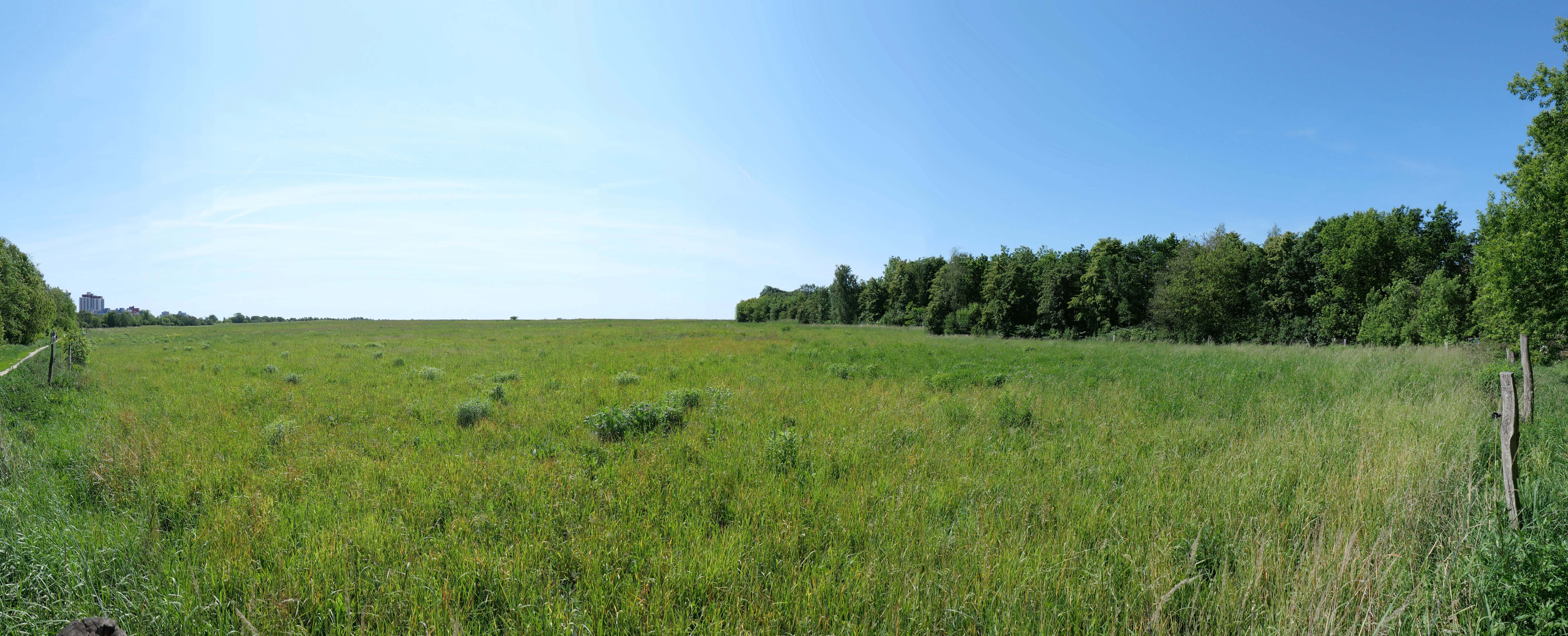 A wide, panoramic view of a grassy, open field in Germany on a bright, sunny day, with a line of trees on the right and clear blue sky.