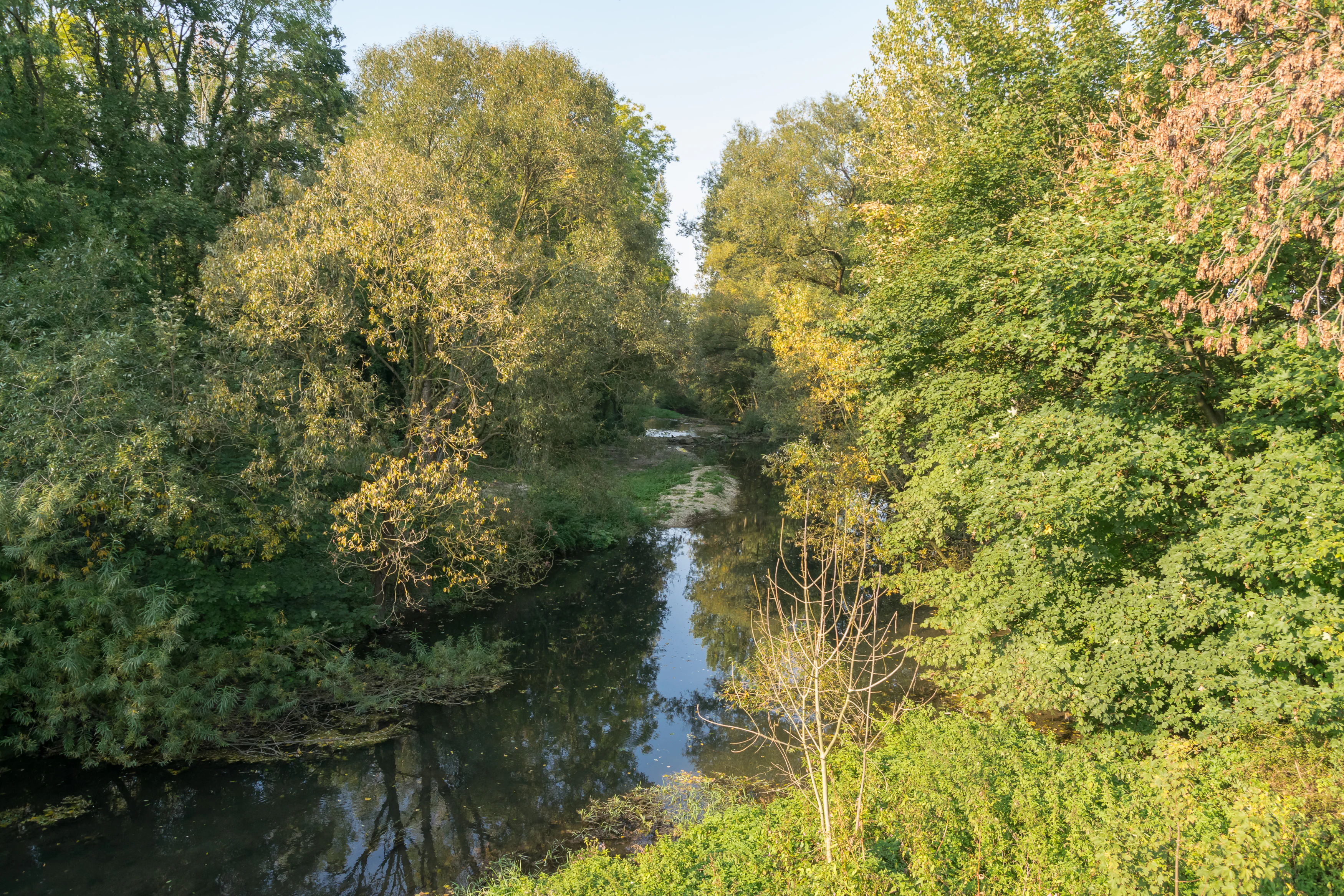 A calm, narrow river meanders through a dense, green forest with trees arching over the water.