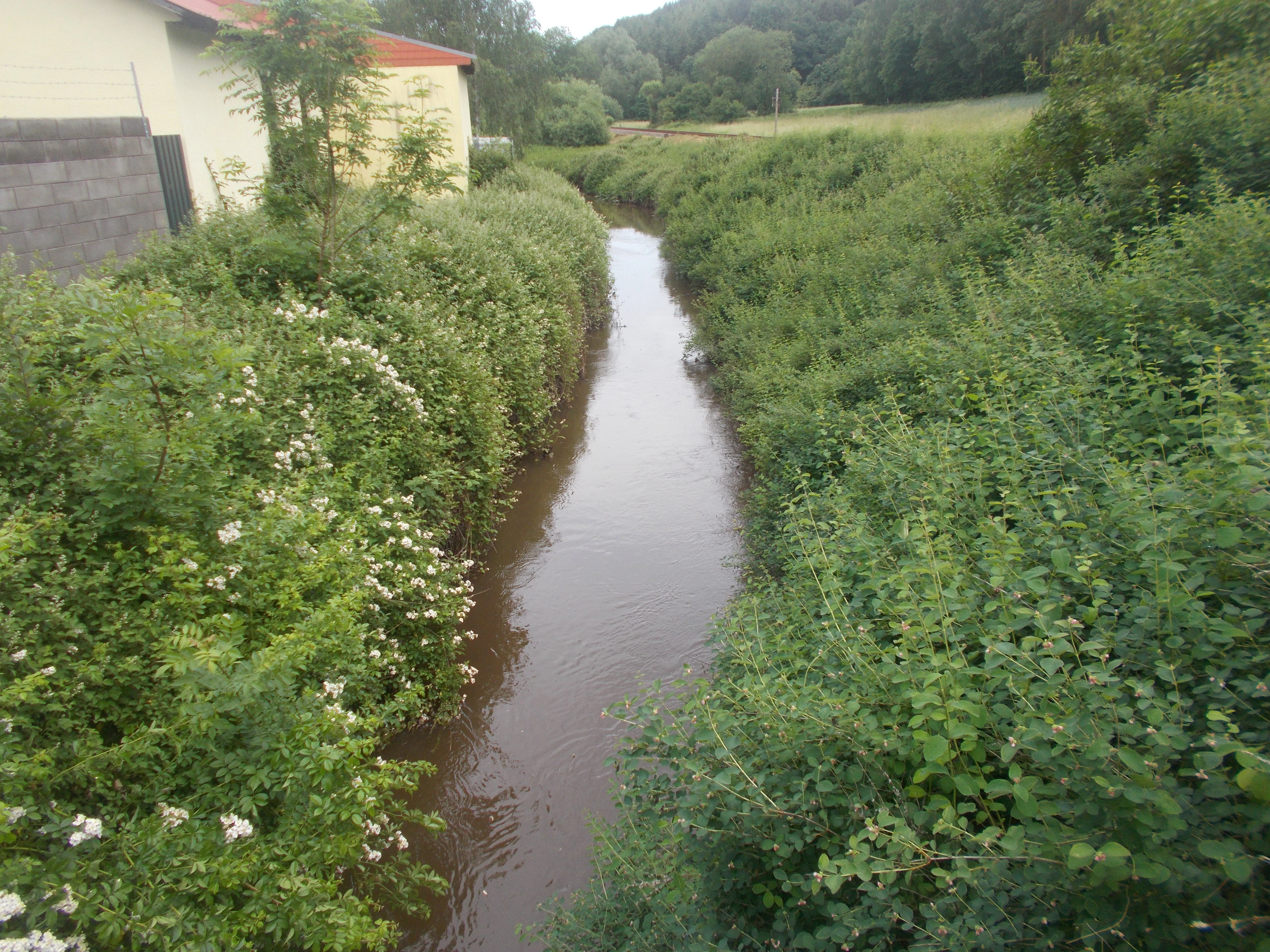 A narrow, calm stream flows through a lush, green landscape lined with dense bushes and wildflowers, with the side of a building visible on the left.