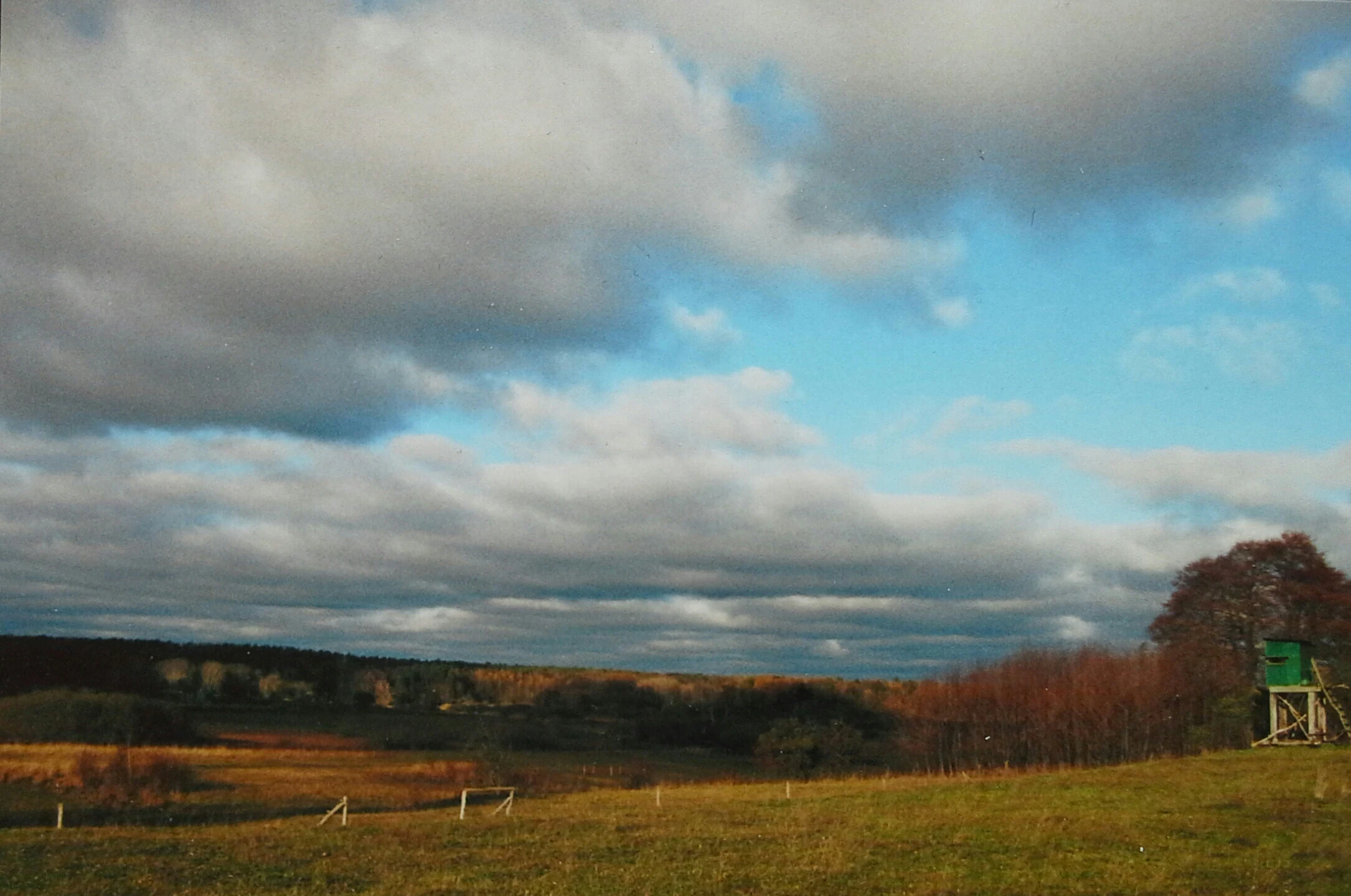 A wide outdoor landscape view showing a meadow and marshy area under a cloudy sky, with a small elevated wooden hunting stand visible on the right side.