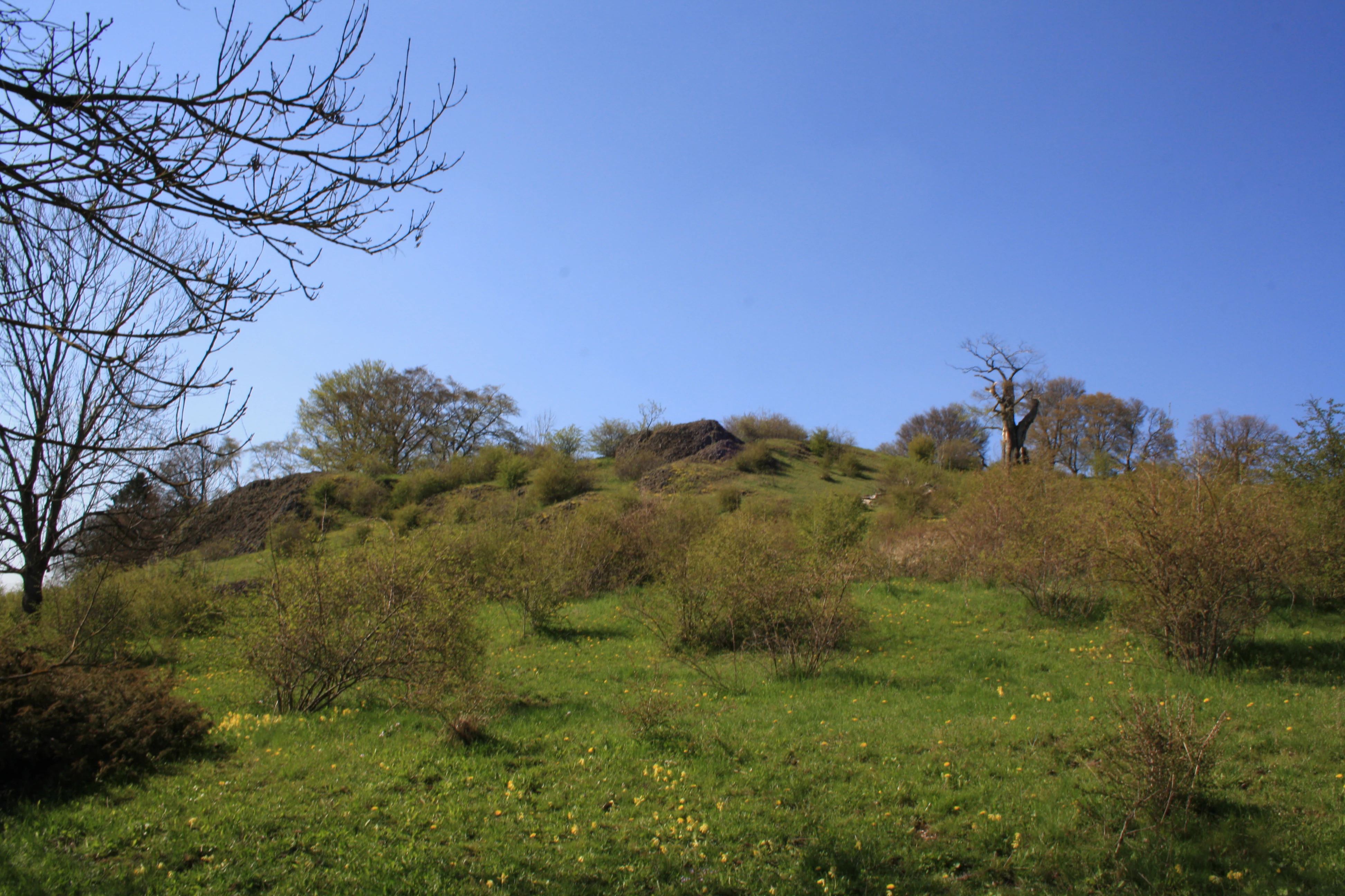 A green grassy hillside with scattered shrubs and a few large, dark basalt rock formations under a clear blue sky.