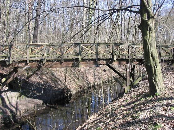 A rustic wooden footbridge with a lattice railing crossing a narrow, dark stream in a deciduous forest during late winter or early spring.