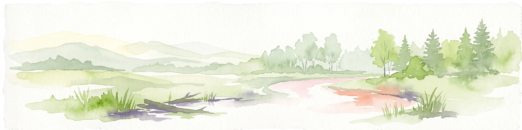 A horizontal watercolor painting showing a wetland landscape with calm water, marshy vegetation, and a background of soft rolling hills and mixed forest trees.