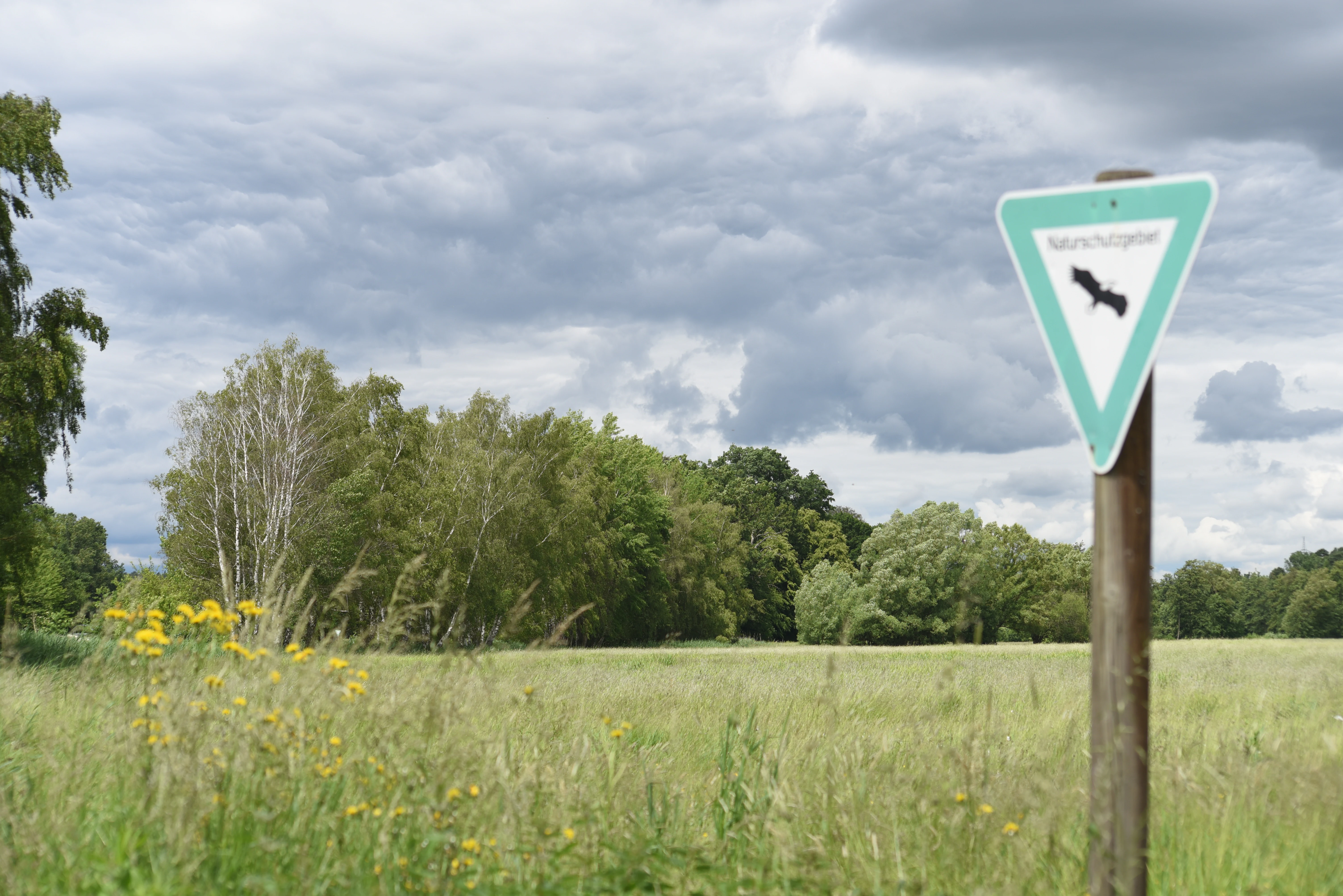 A triangular German nature reserve sign, marked with a black eagle silhouette, stands on a wooden post in a grassy meadow with trees in the background under a cloudy sky.