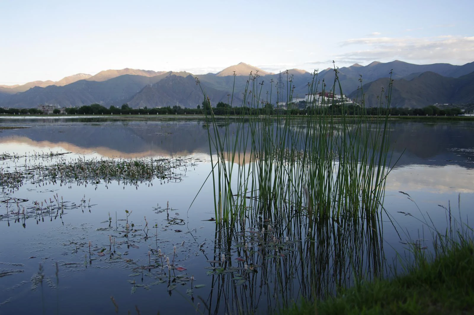 A wide view of a calm wetland reflecting distant mountain ranges, with tall reeds in the foreground.