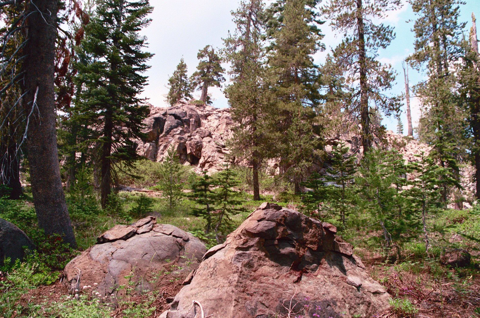 Large reddish-brown rock formations in the foreground and midground, surrounded by tall conifer trees and green undergrowth, with a rocky cliff visible in the background under a partly cloudy sky.