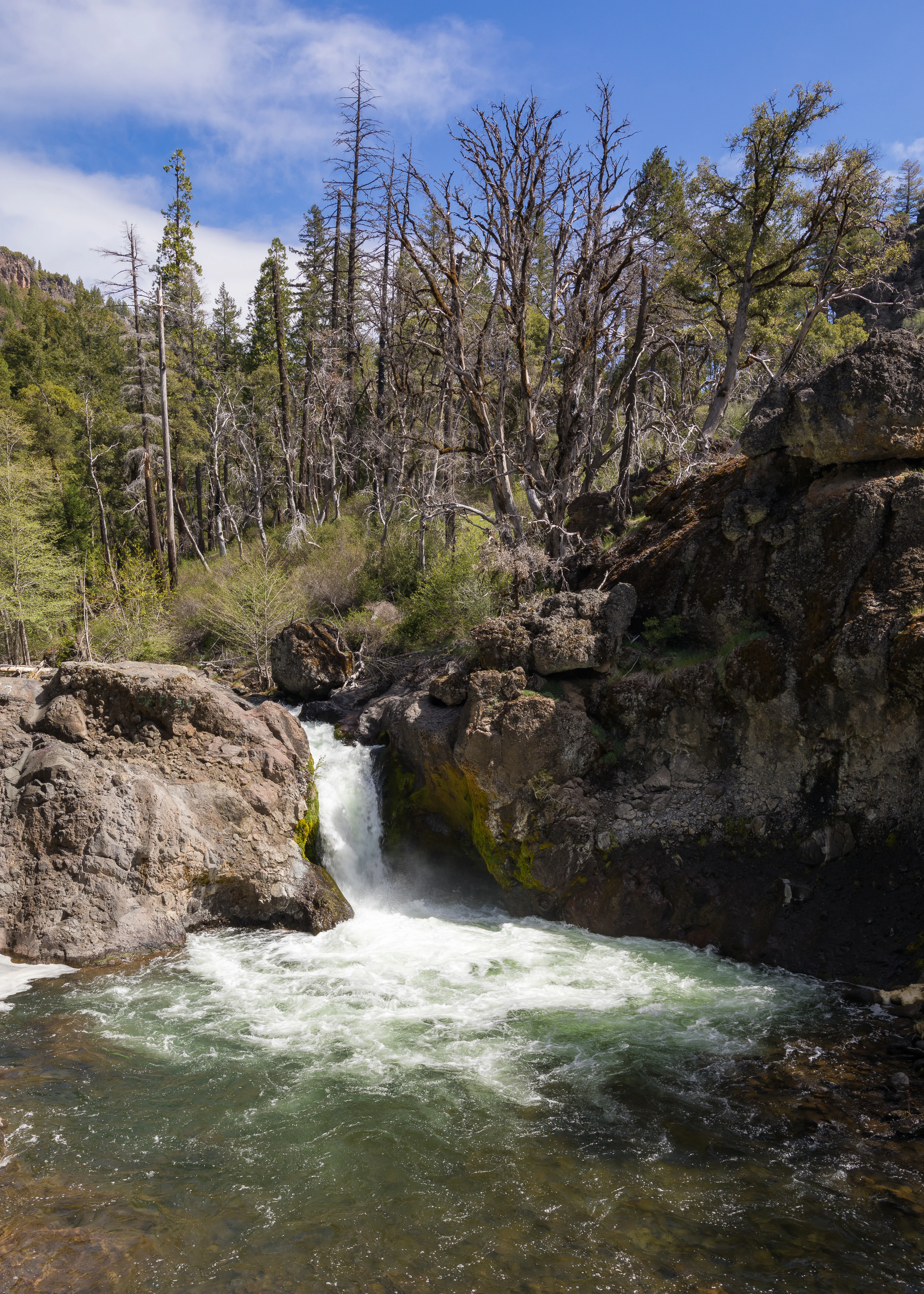A waterfall cascading through rocky terrain into a turbulent pool, surrounded by conifer trees and rocky outcroppings under a blue sky with scattered clouds