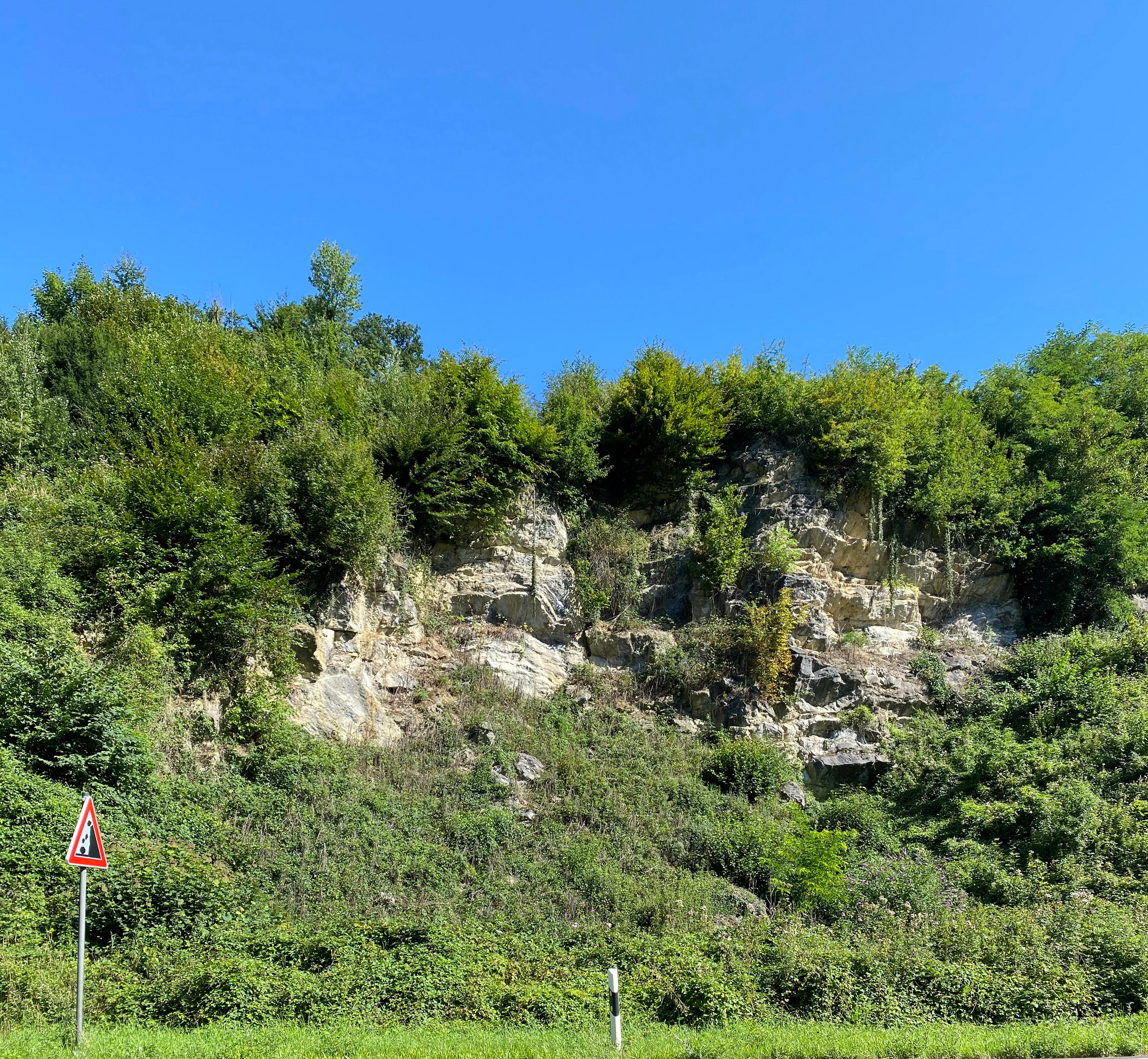 A steep limestone rock face partially covered in green vegetation, set against a clear blue sky, with a road sign in the foreground.