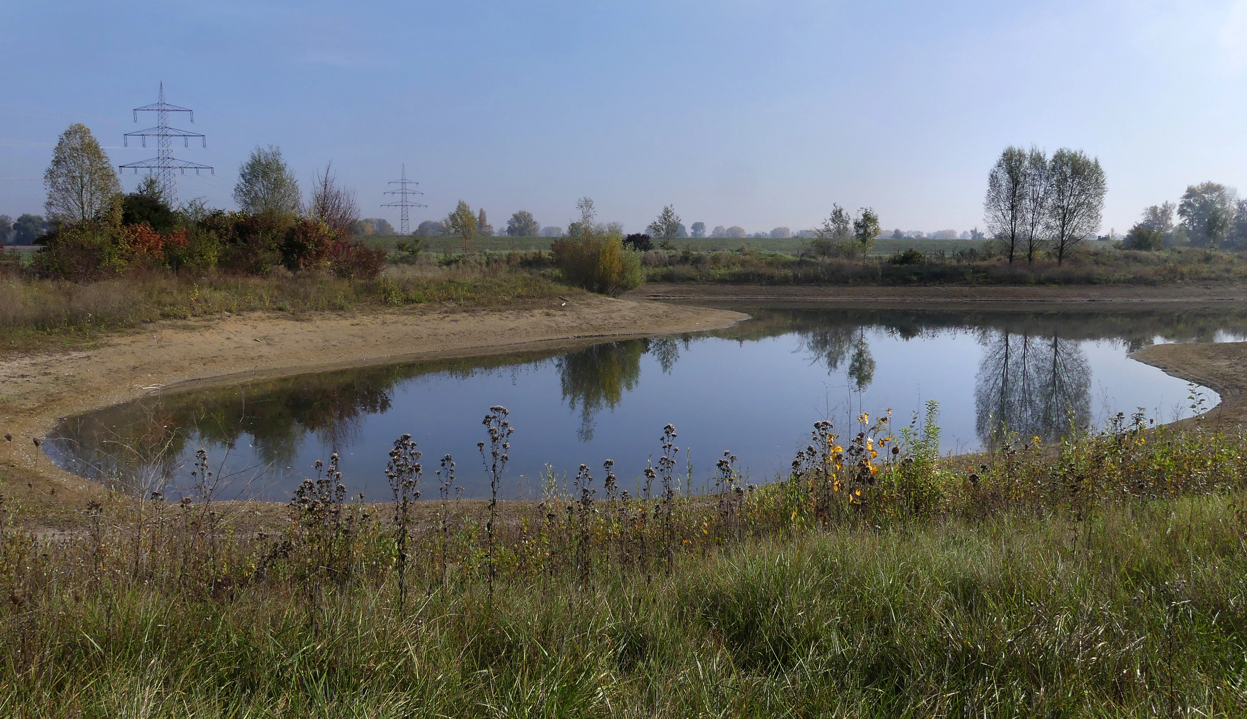 A small, still pond sits in a grassy wetland area with distant trees and power line towers visible under a light blue sky.