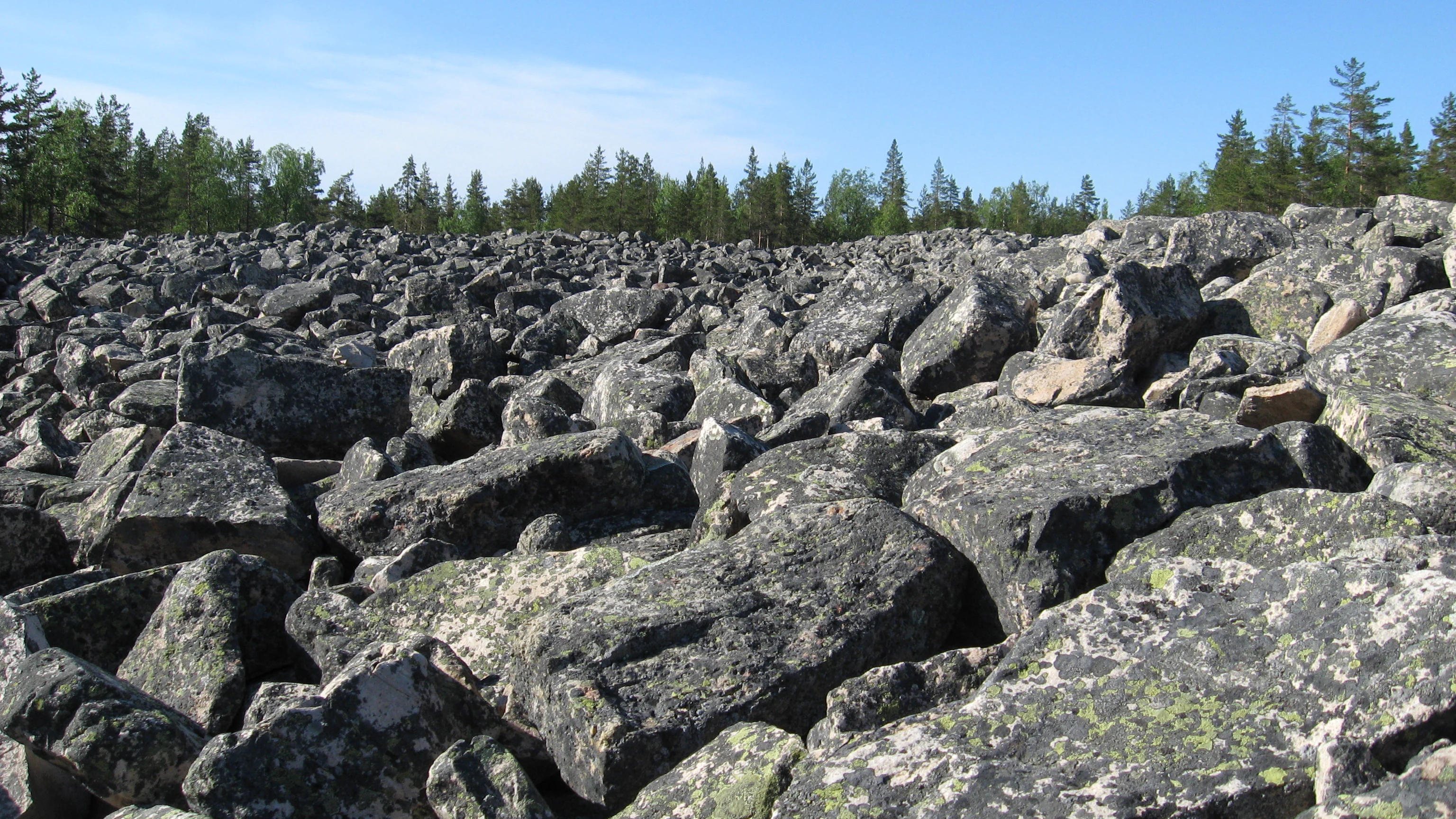 Large boulders covering a landscape with forest in the background under a clear blue sky
