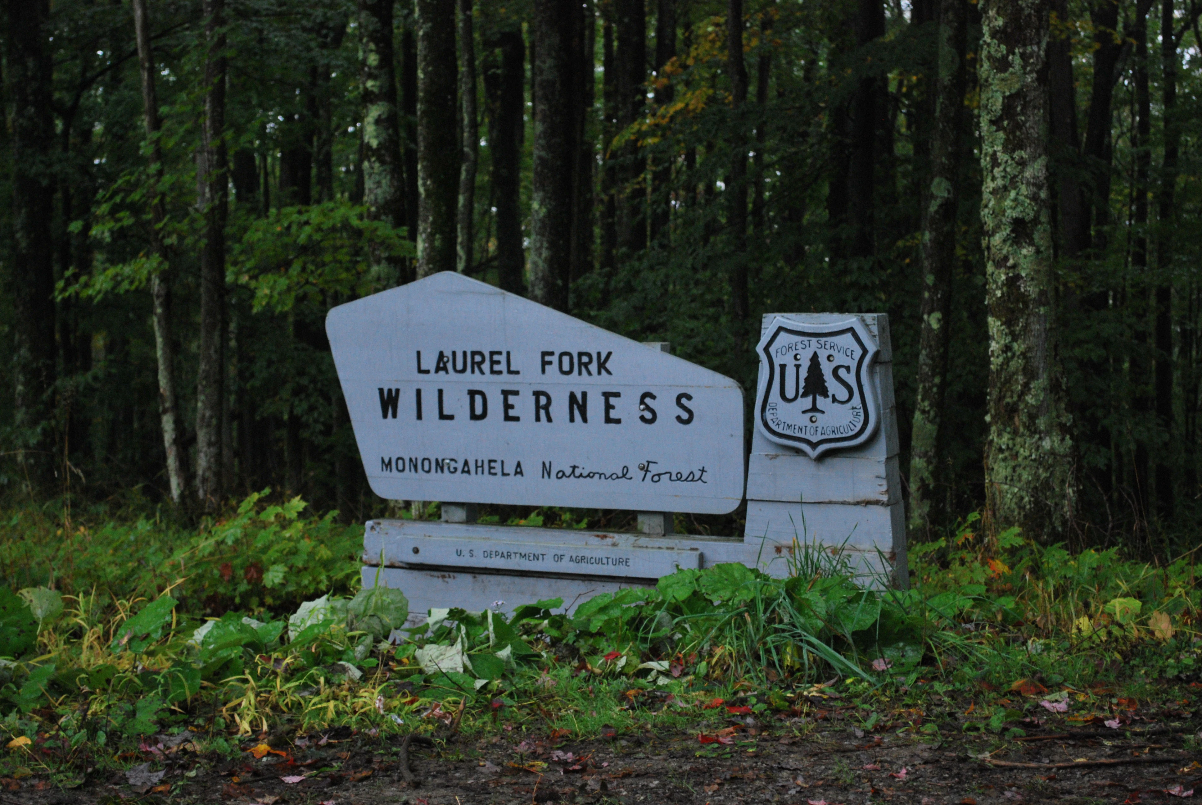 A wooden sign reading 'Laurel Fork Wilderness Monongahela National Forest' stands next to a US Forest Service shield sign in a forest setting.