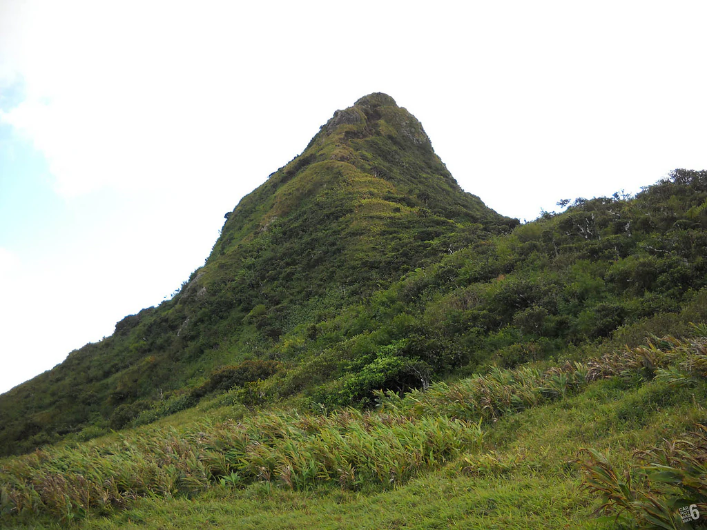 Una vista hacia arriba del pico empinado, cubierto de hierba y boscoso de la montaña Le Pouce en Mauricio.