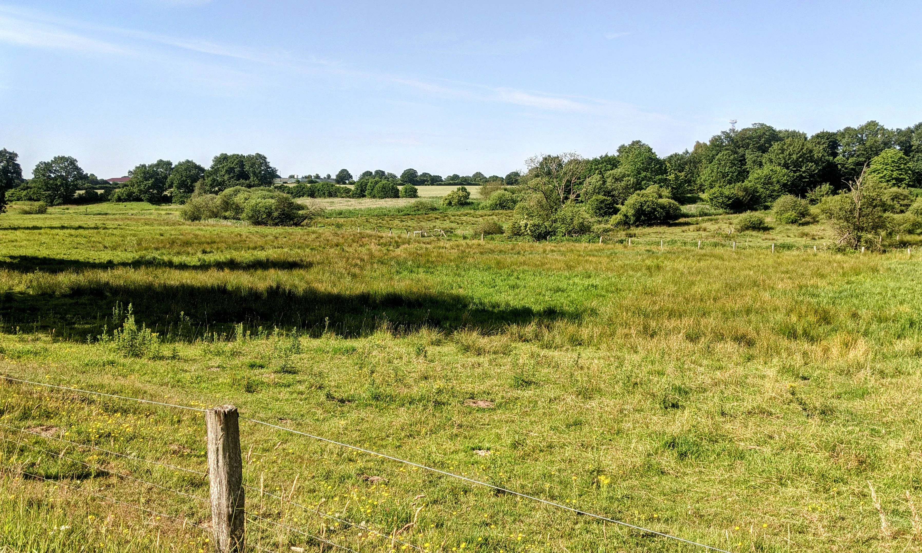A wide shot of a green grassy field with a wooden fence post and wire in the foreground, transitioning to darker marshy patches and a line of trees in the background under a blue sky.
