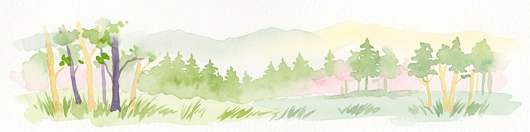 Una ilustración en acuarela que muestra un paisaje con pequeños grupos de árboles y suelo cubierto de hierba bajo un cielo suave y luminoso.