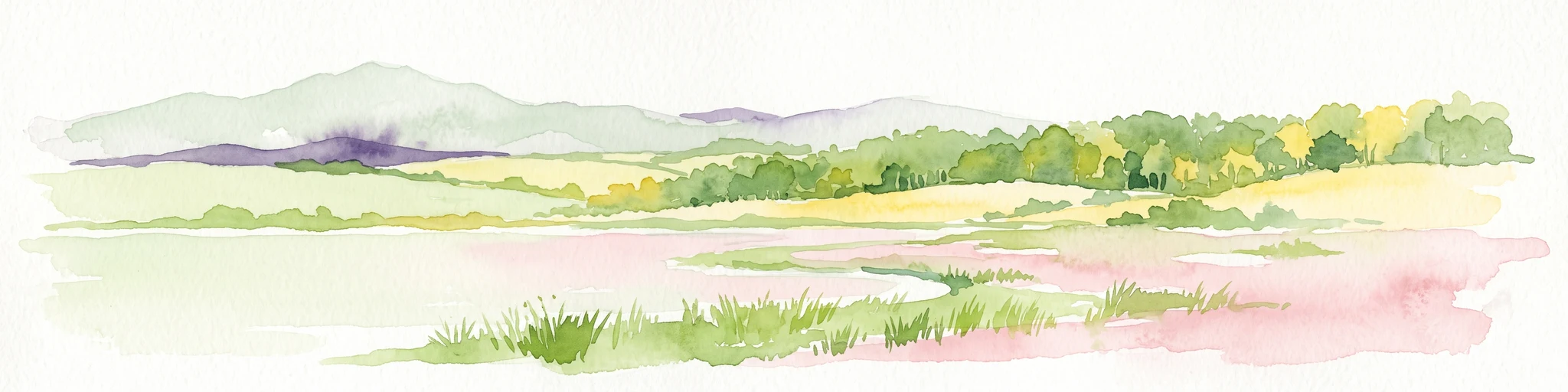 A horizontal watercolor painting showing a wetland in the foreground with grasses, rolling hills, and distant mountains under a pale sky.