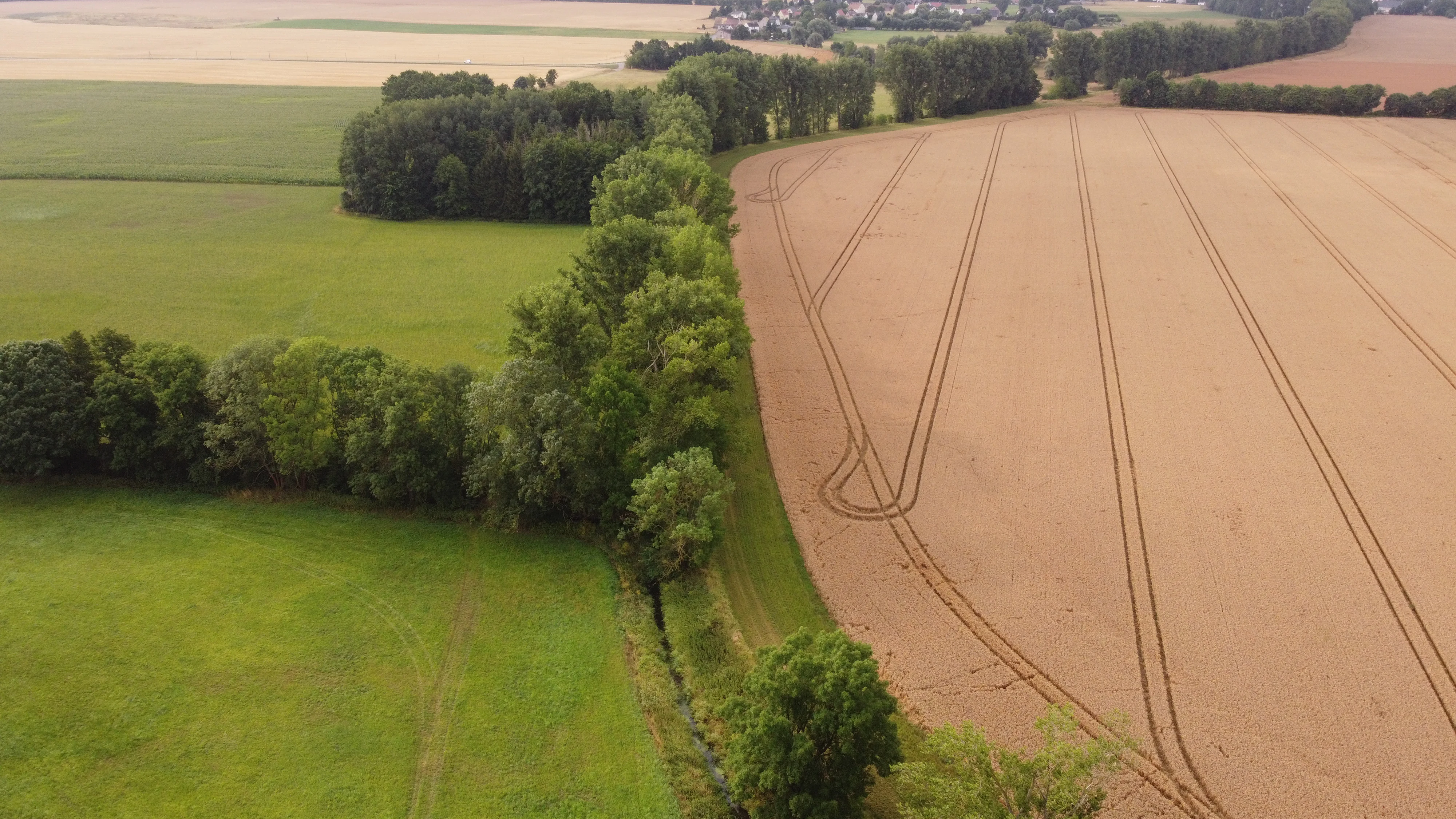 An aerial drone view looking down on a patchwork landscape in Germany, featuring a strip of lush green trees and shrubs dividing a bright green field from a golden, harvested grain field with visible tractor tracks.