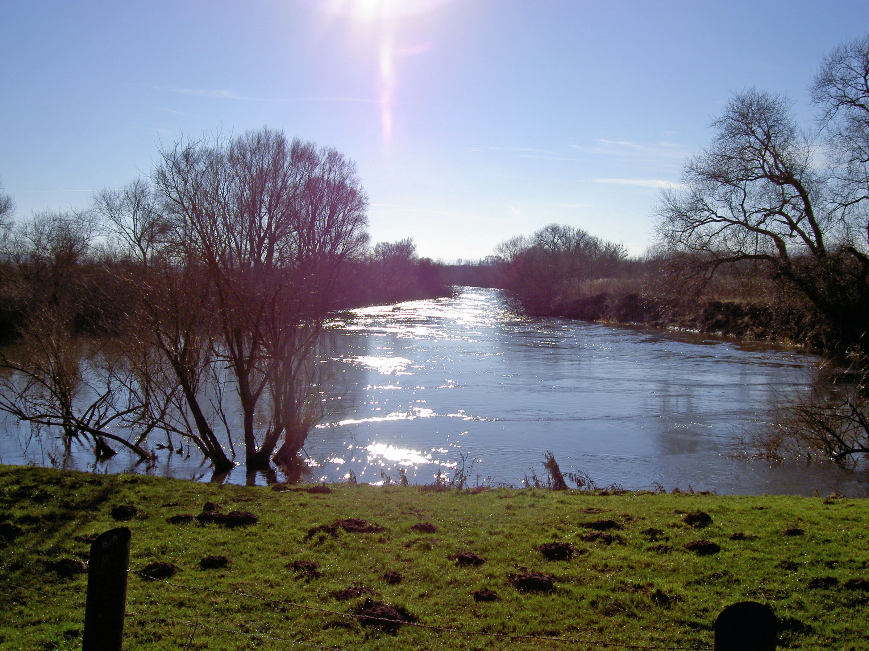 A wide view of the Leine river on a clear, sunny winter day with leafless trees standing along the bank and sunlight reflecting on the water.