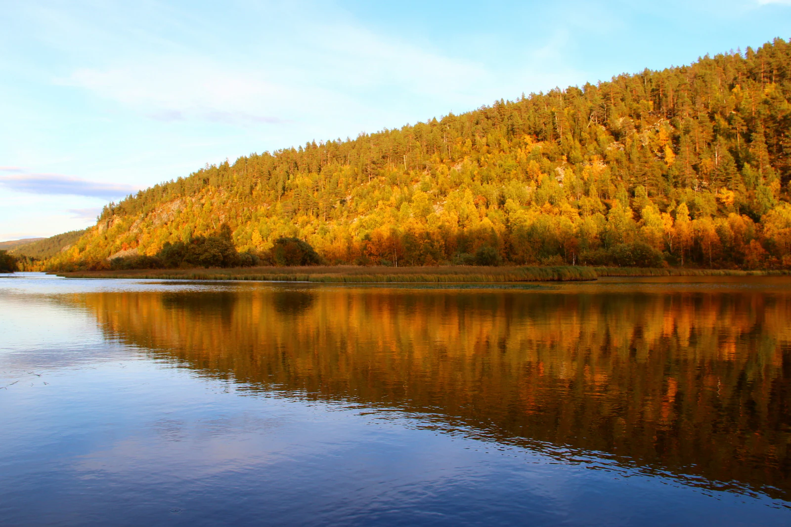 Calm river reflecting autumn-colored forest on a hillside under a clear blue sky