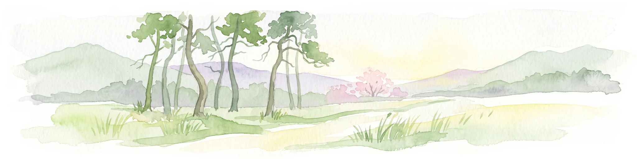 A soft watercolor painting of a forest landscape with slender trees, green grass, and distant rolling hills against a pale, warm sky.