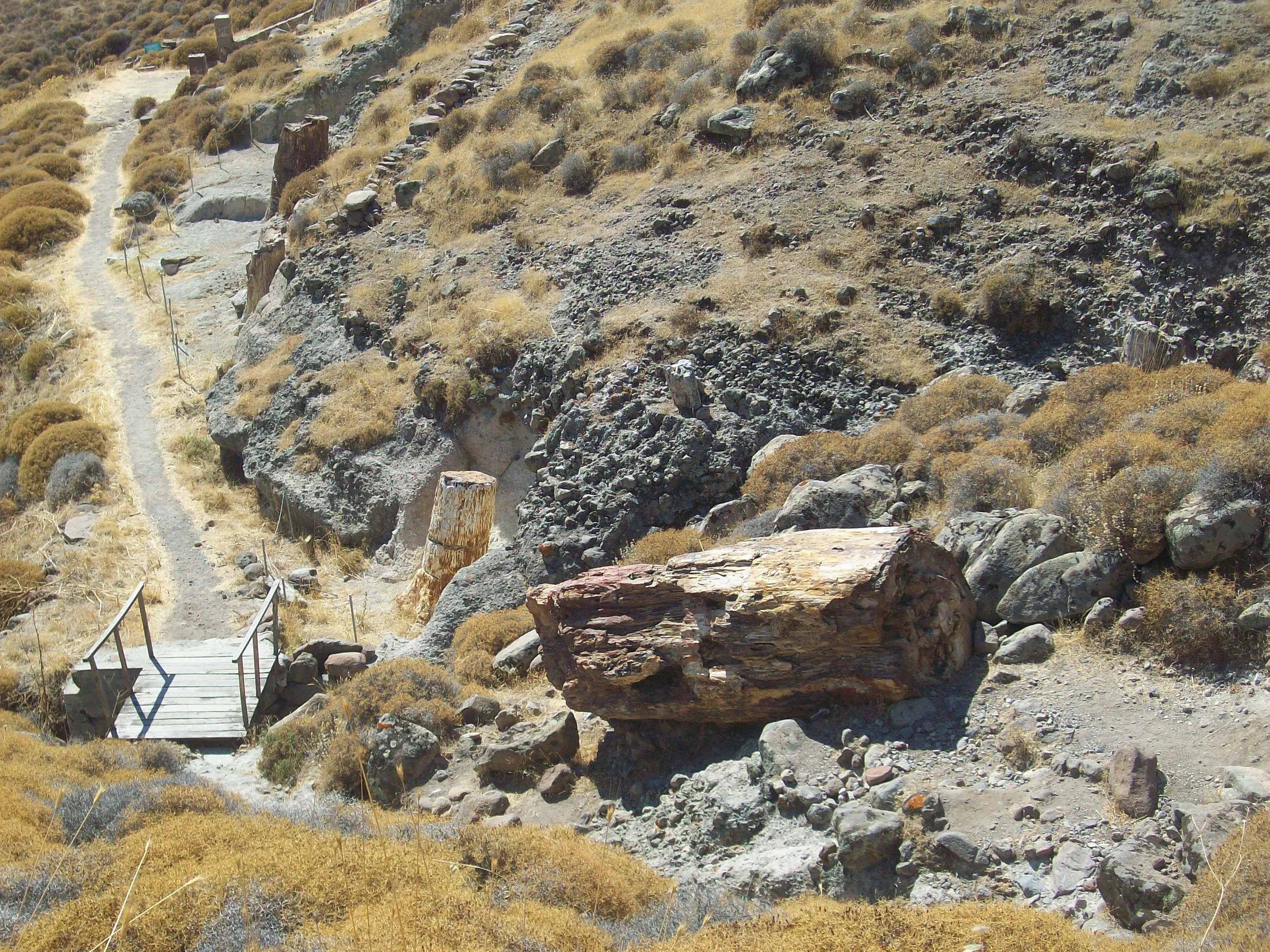 A large horizontal petrified tree trunk rests on a dry, rocky hillside in the Lesvos Petrified Forest, with a small wooden footbridge and dirt walking path visible nearby.