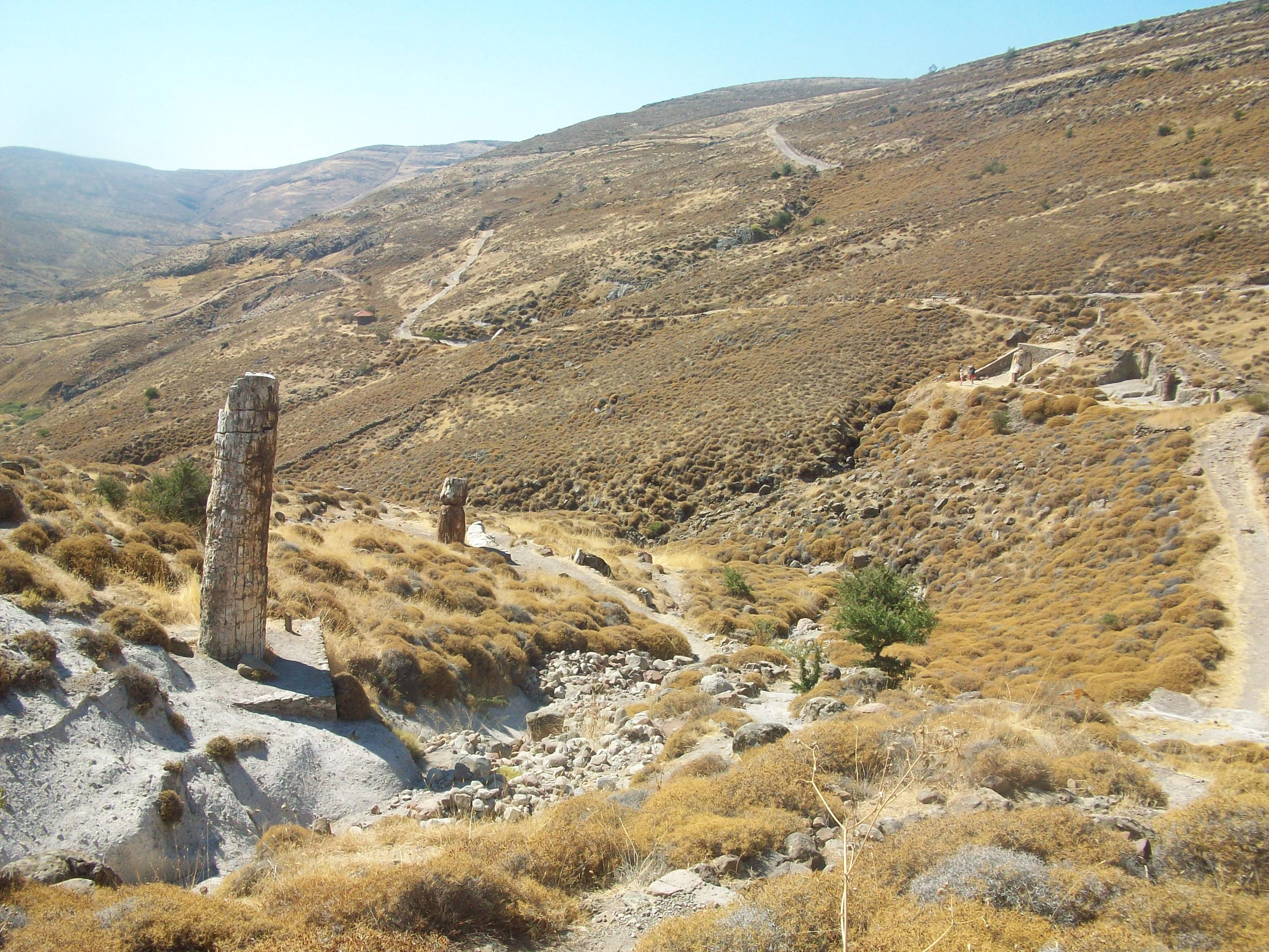A large vertical petrified tree trunk stands in the foreground of a dry, hilly landscape with sparse vegetation on Lesvos island.