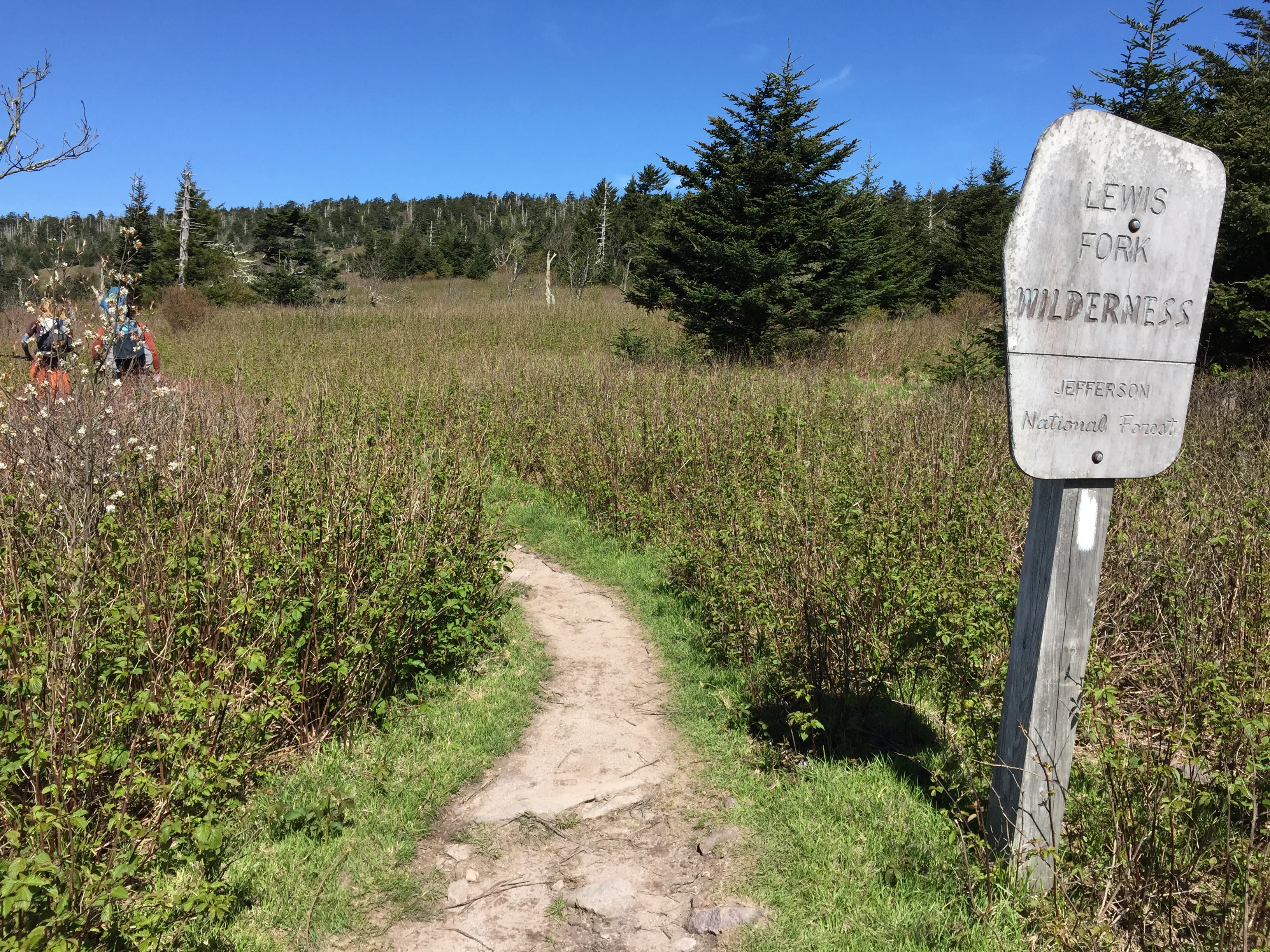A rustic wooden sign reading Lewis Fork Wilderness stands on a post beside a dirt hiking trail leading into a meadow and forest.
