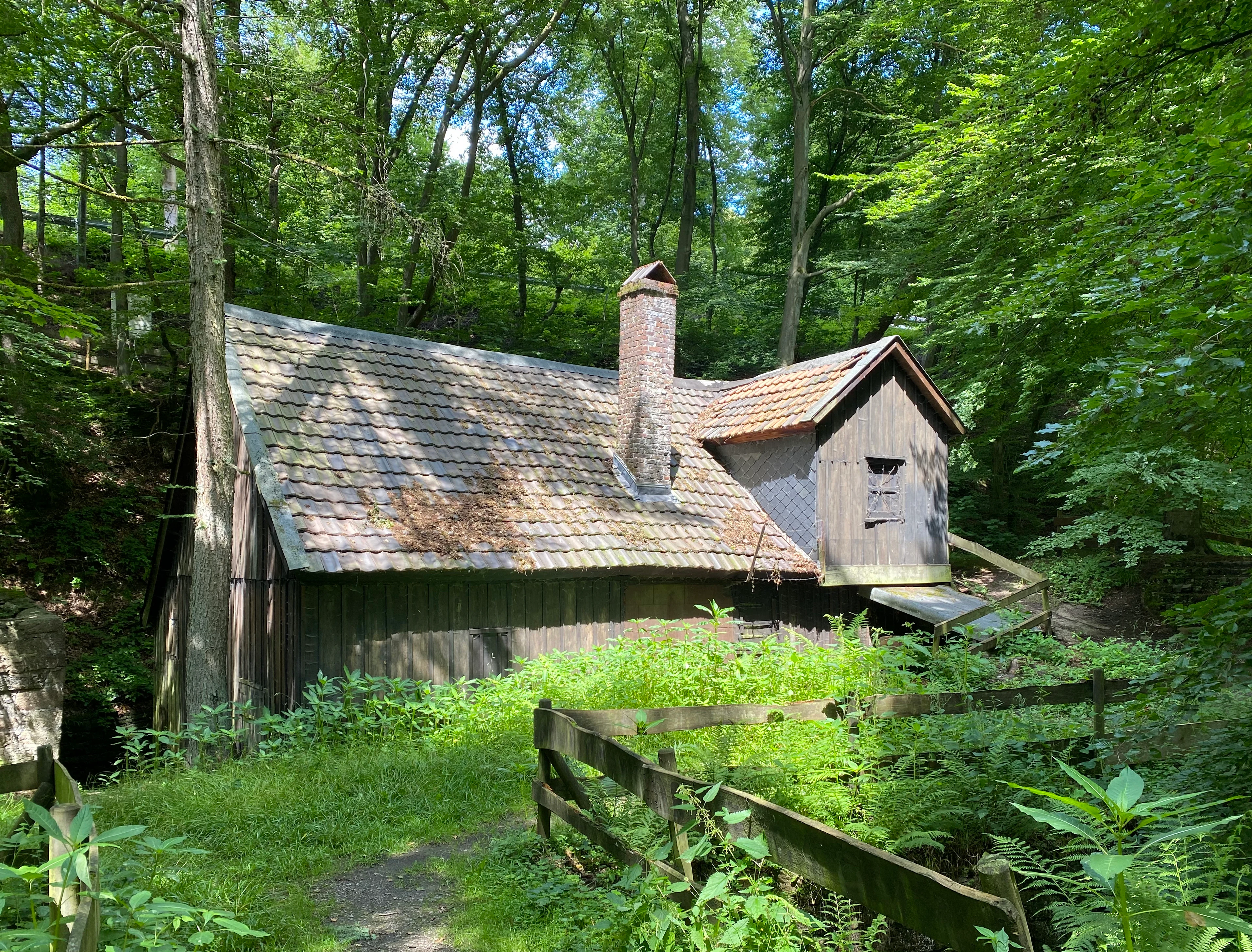 A rustic wooden building with a tiled roof and stone chimney stands in a dense green forest, with a wooden fence and path in the foreground.