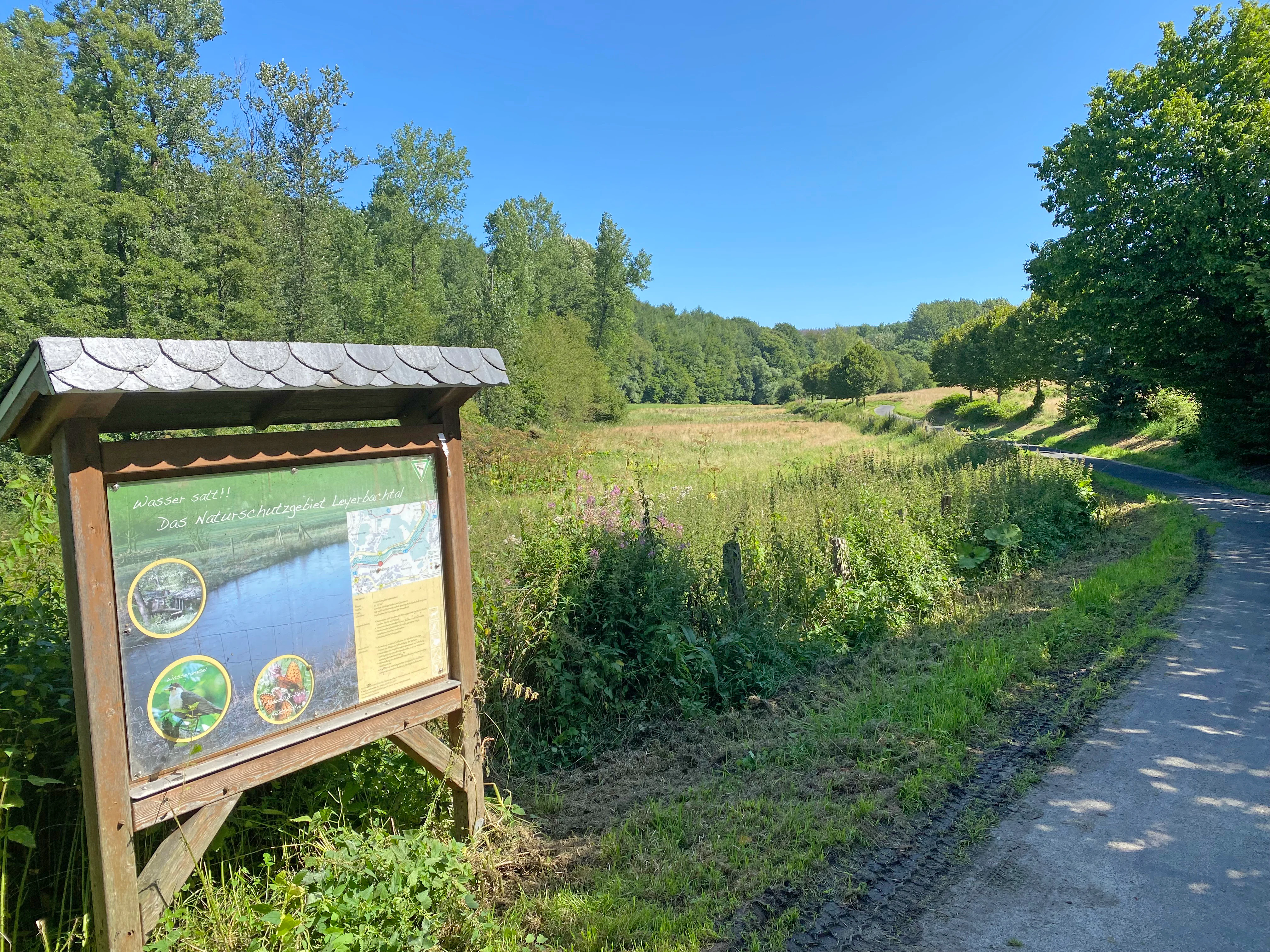 A wooden information board with a slate roof stands in the foreground next to a paved path. Behind the sign, a grassy meadow stretches towards a line of green trees under a clear blue sky.