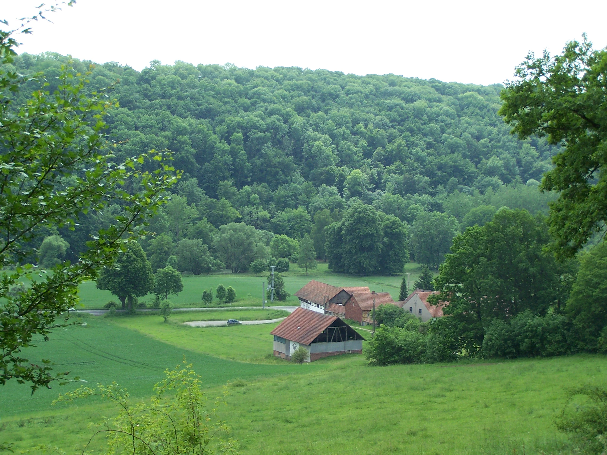A wide view of a dense green forest covering a hillside, with a small cluster of farm buildings and grassy fields in the foreground.