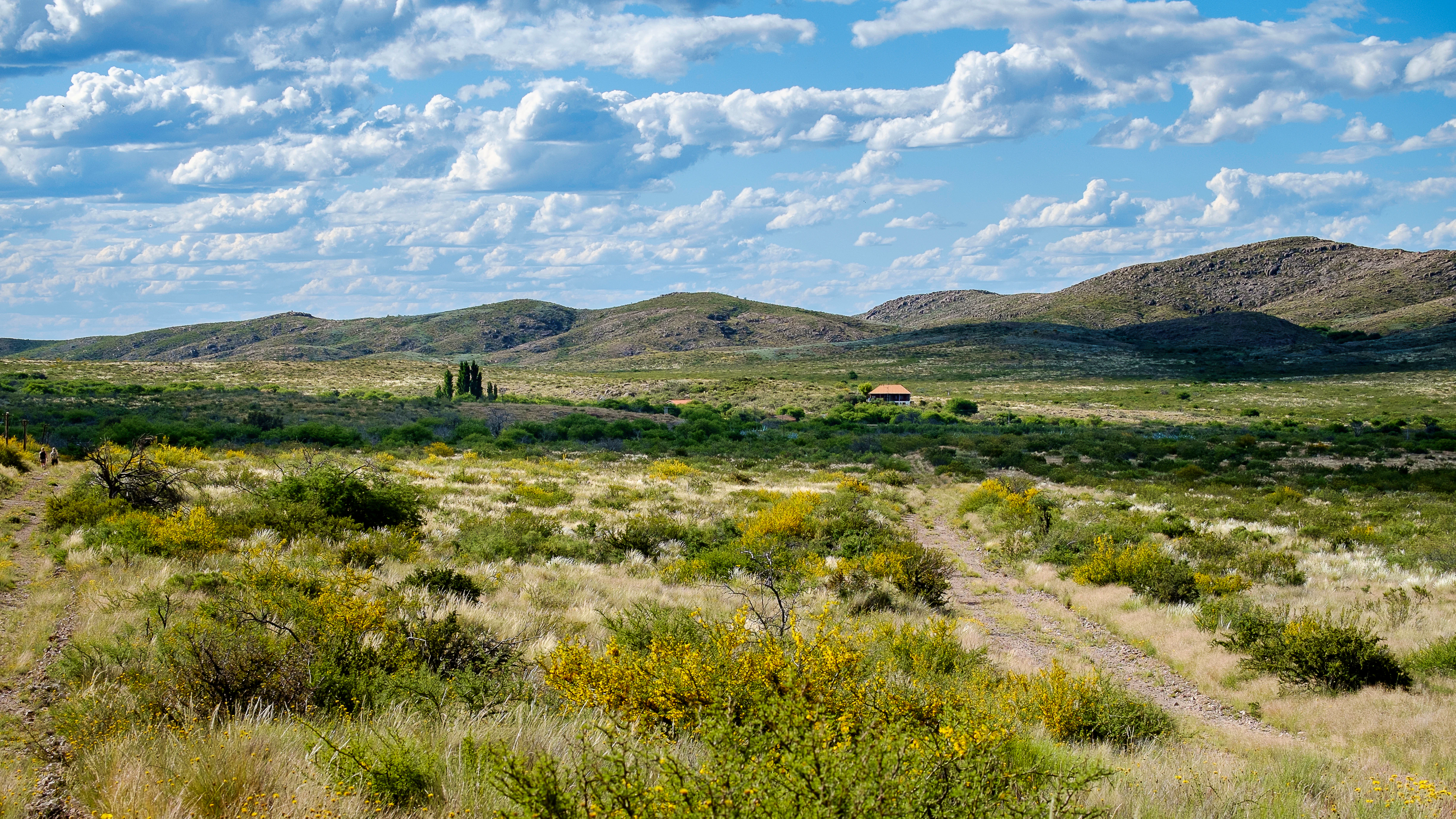 Open grassland with scattered yellow-flowered bushes, a dirt path, distant hills, and a small structure under a blue sky with scattered clouds