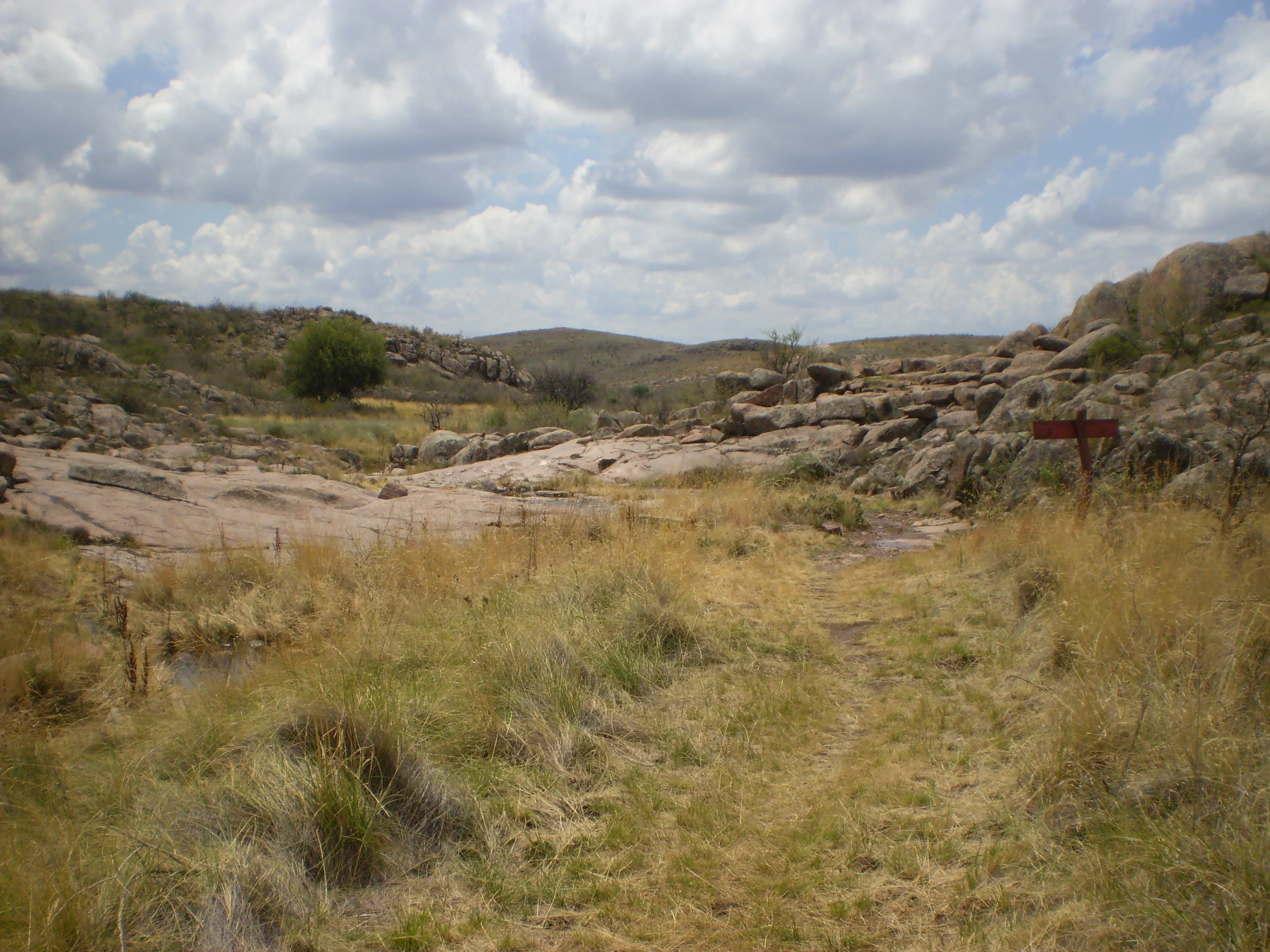 Grassy trail winding through rocky terrain under a partly cloudy sky with scattered trees and distant hills