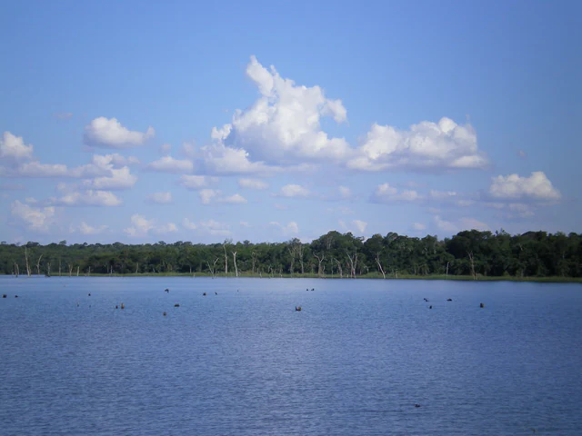 Una toma amplia a la altura de los ojos de un lago tranquilo bajo un cielo azul brillante con nubes blancas, con un denso bosque verde bordeando la orilla lejana.