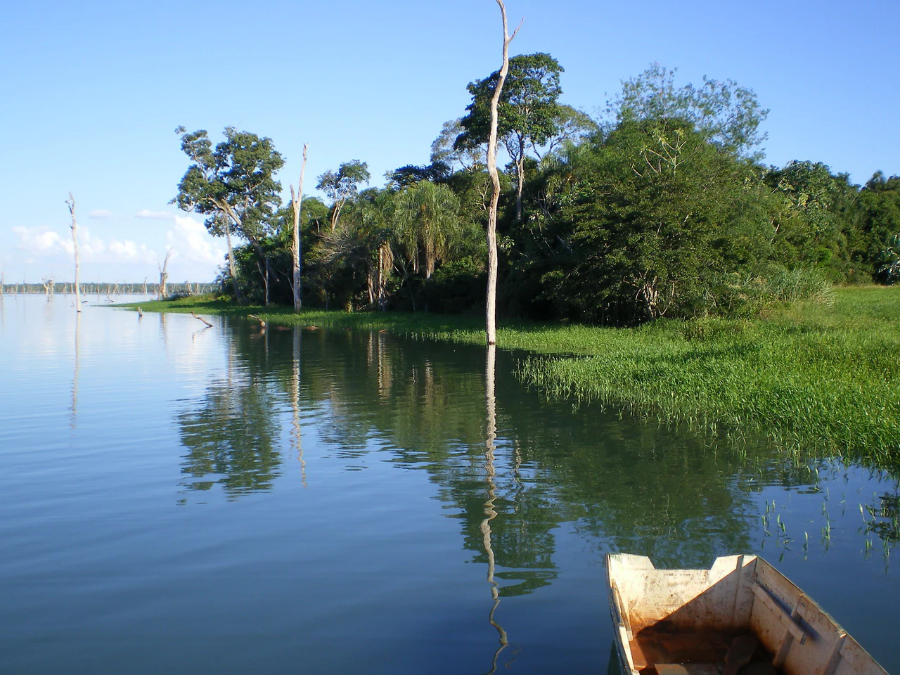 Una pequeña embarcación de color claro se encuentra en la parte inferior derecha del encuadre sobre las aguas tranquilas y reflectantes de un embalse. La orilla está bordeada de riberas verdes y cubiertas de hierba, con densos árboles subtropicales, y varios troncos desnudos y blanqueados se alzan verticalmente en el agua.