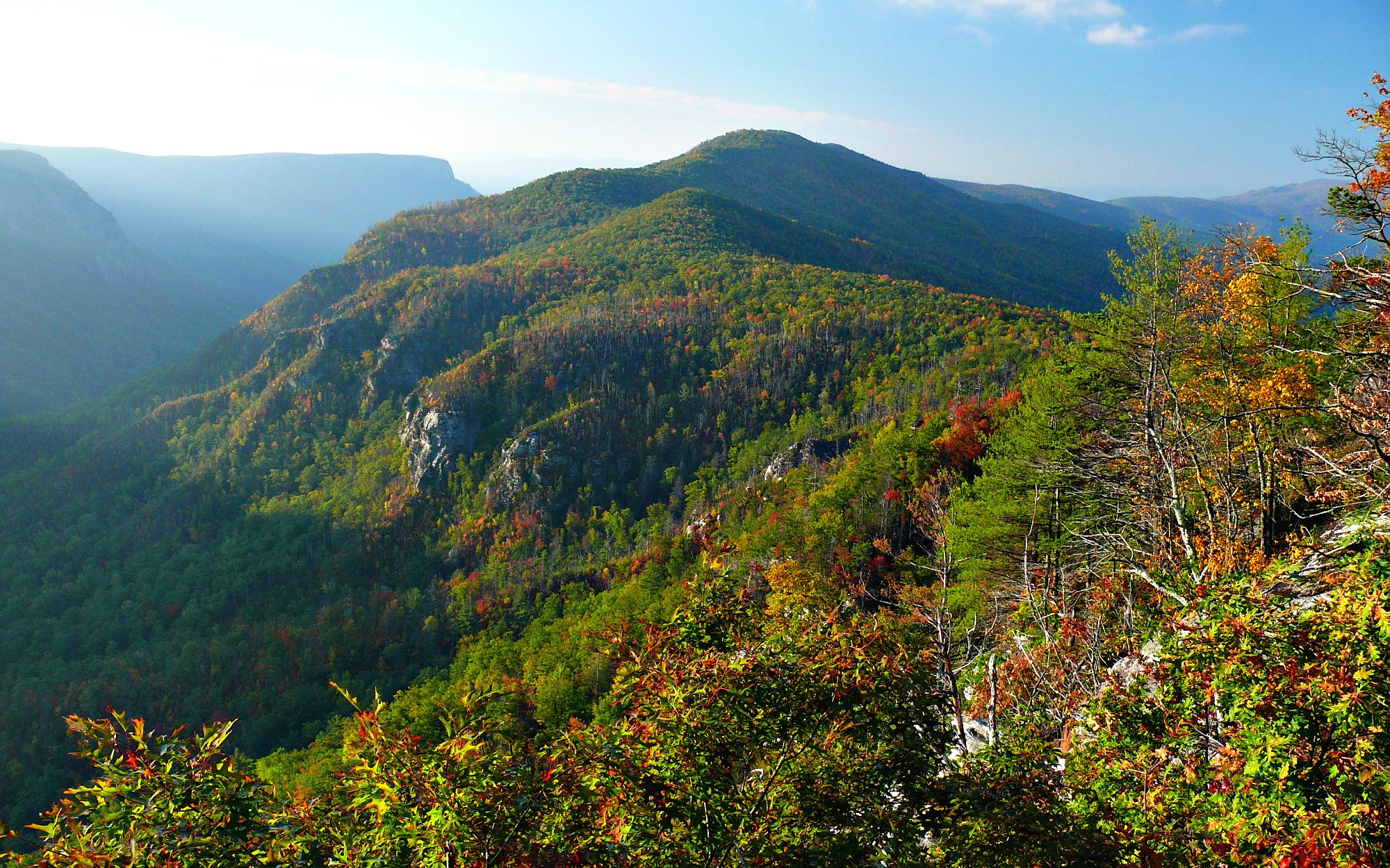 A wide, elevated view of a green, forested mountain ridge and canyon during early morning light, with foliage displaying early autumn colors in the foreground.