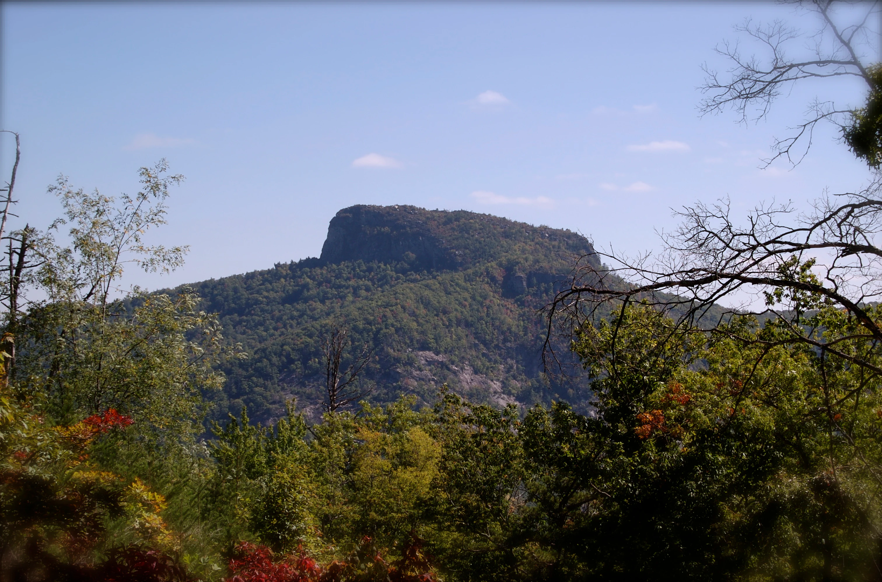 A distant, flat-topped mountain covered in forest stands against a clear sky, viewed through foreground tree branches.