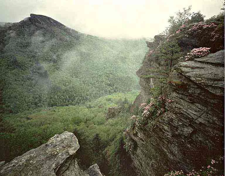 A wide angle scenic shot of a deep forested gorge with rocky cliffs in the foreground and a mountain peak in the background under an overcast sky.